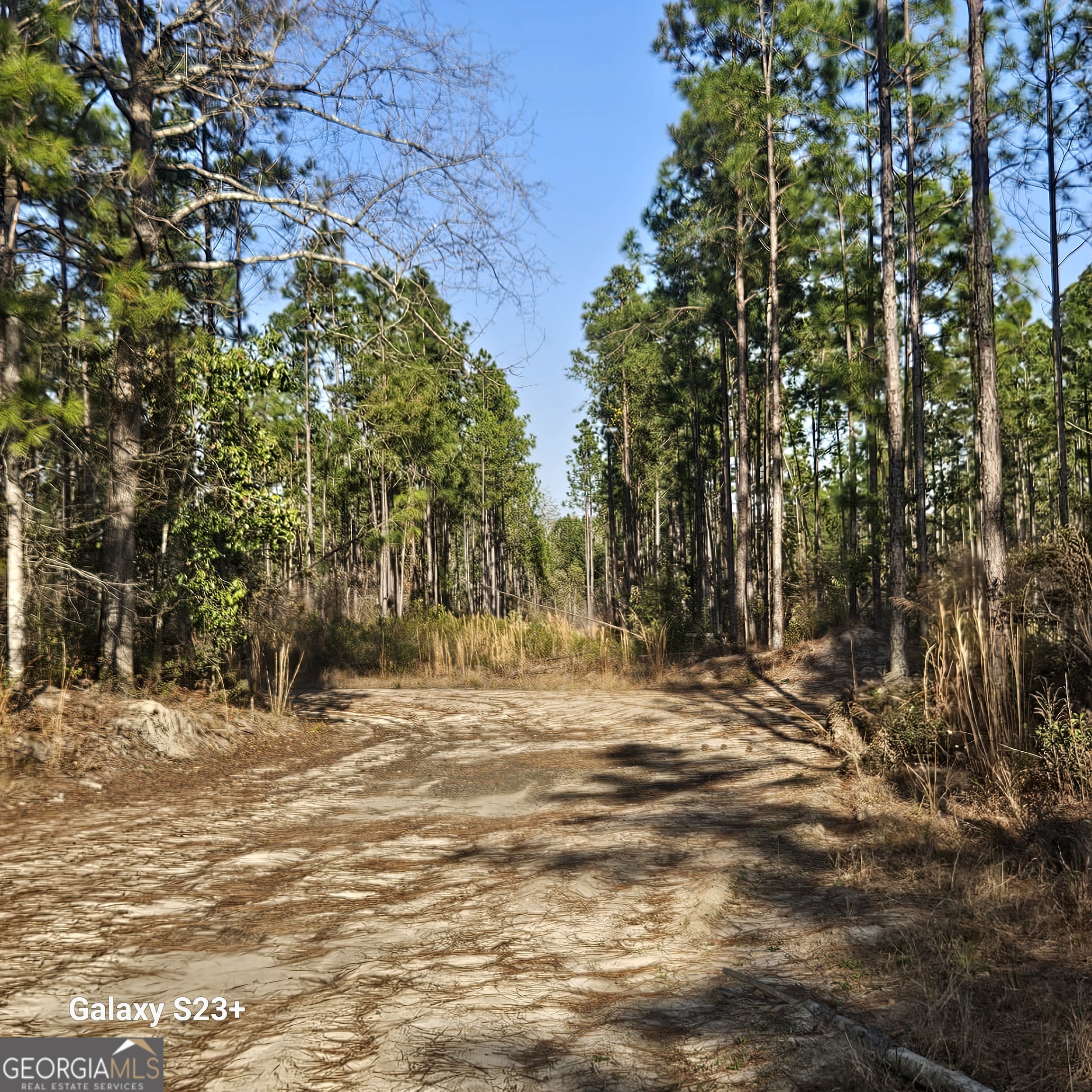 0 Mill Branch Club Road 1 K Property Photo 1