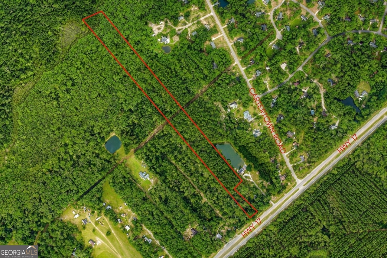 8454 Ga 17 Highway Property Photo 1