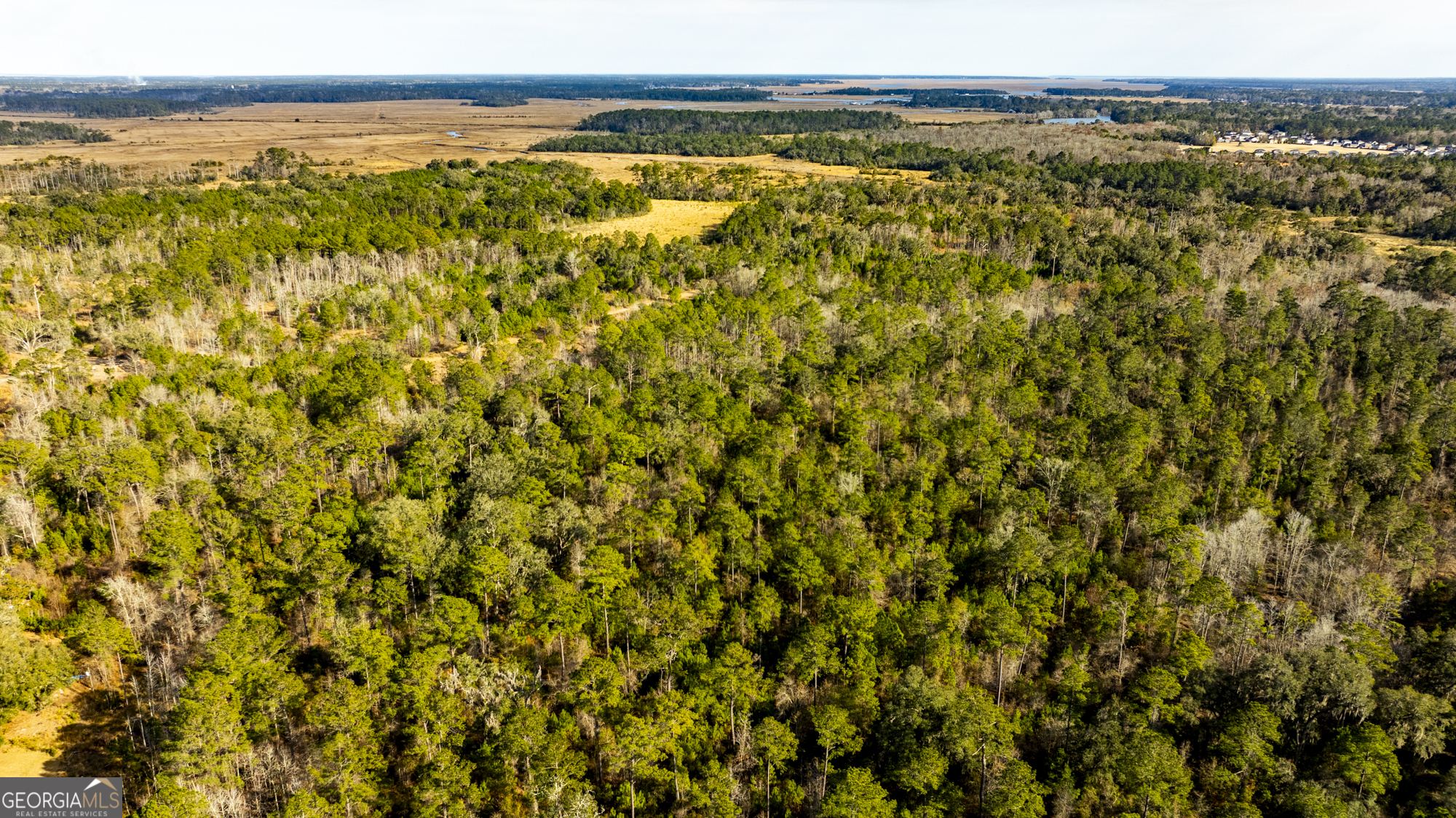 4577 N Coastal Highway Property Photo 96