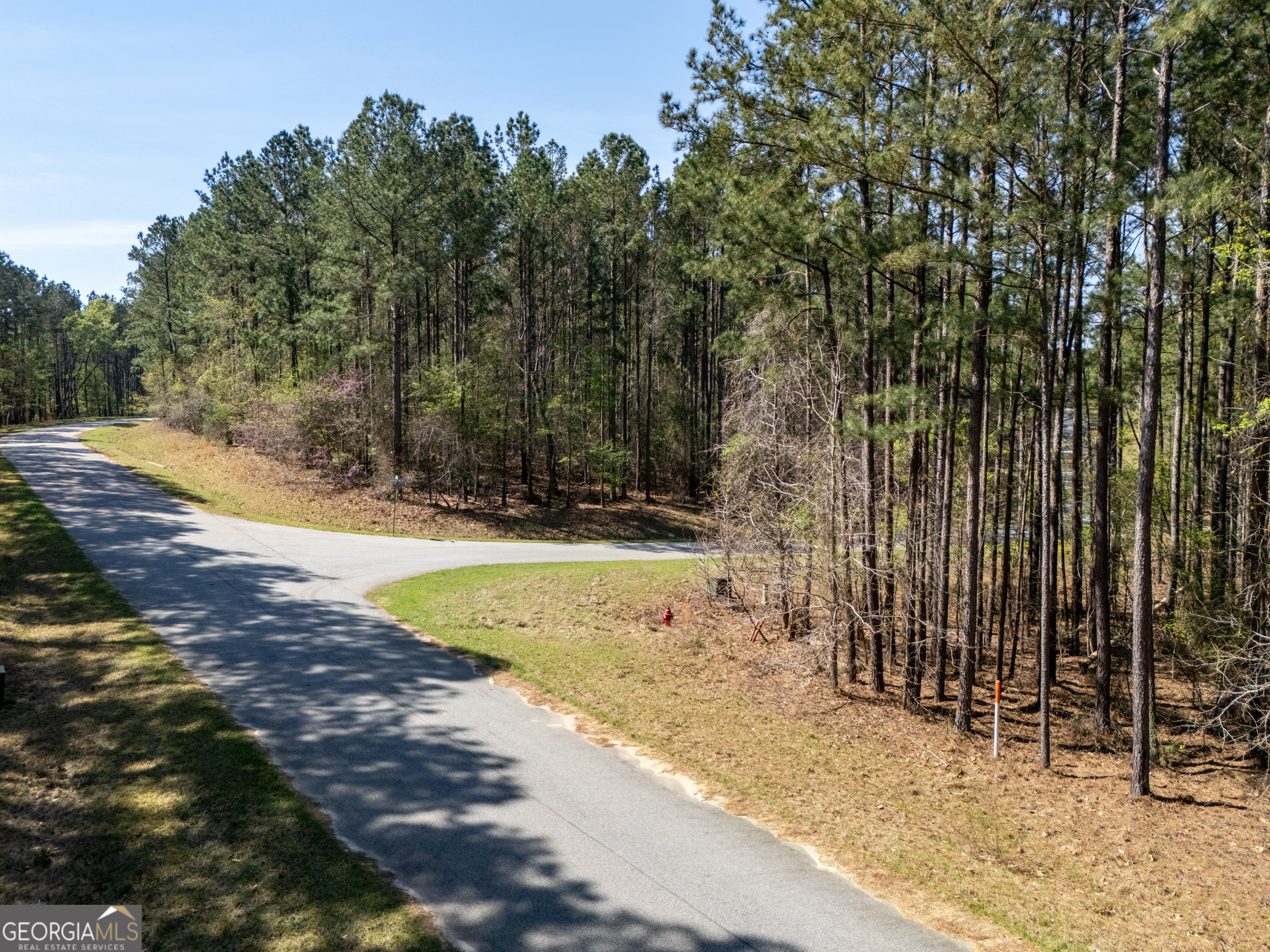 Lot 23 S Pointe Cove Property Photo 7