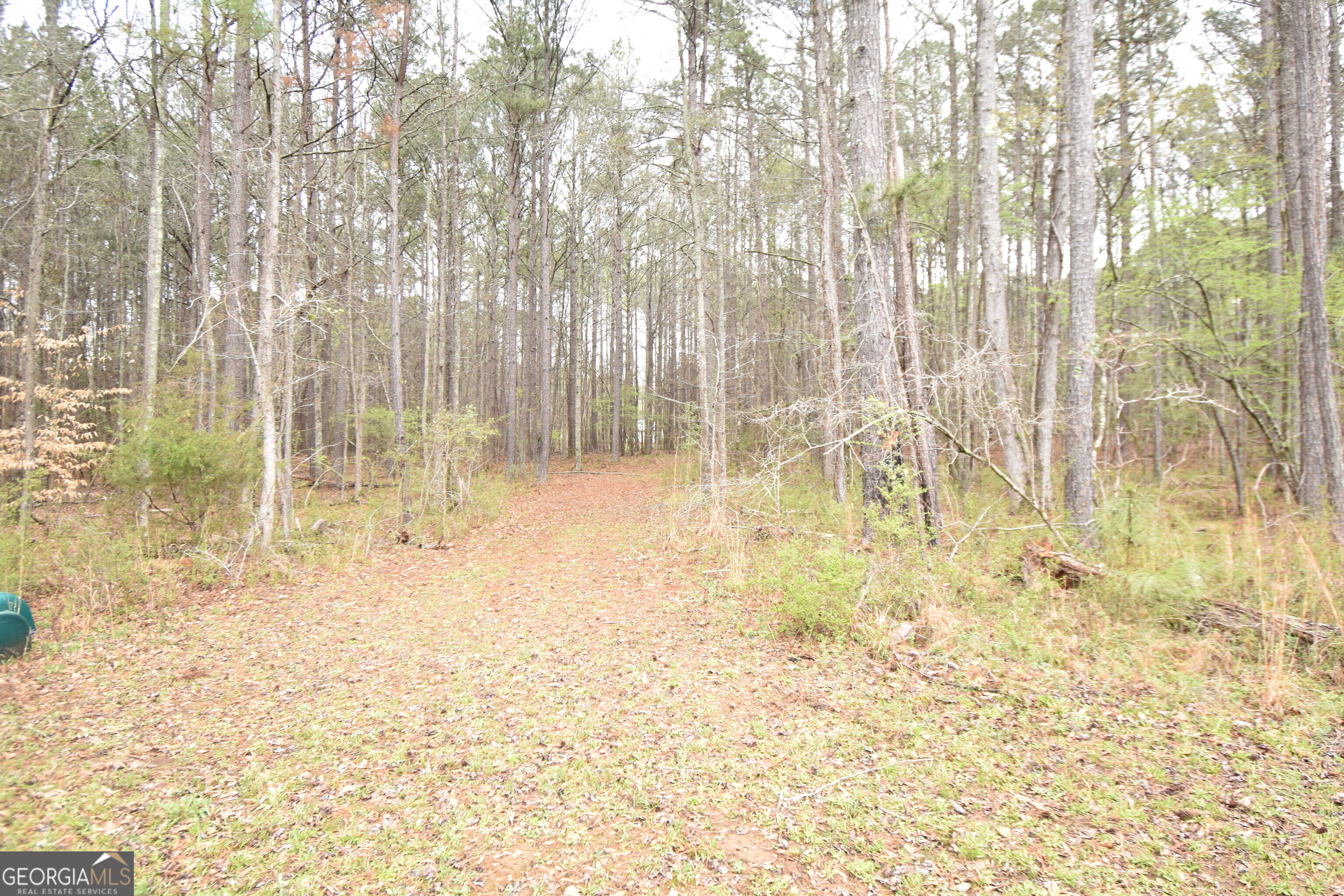 955 Cheatham Road Property Photo 6