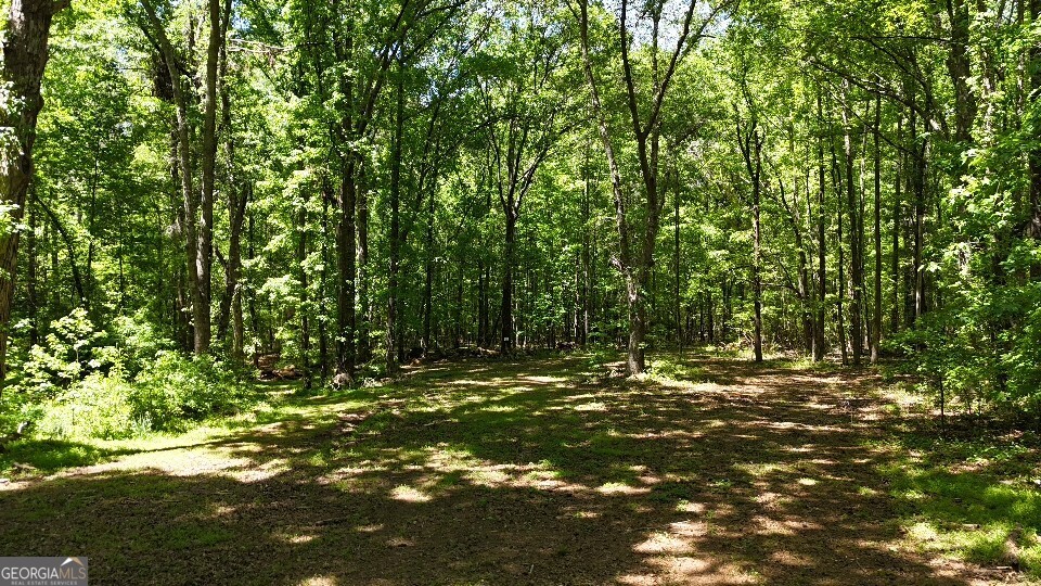 955 Cheatham Road Property Photo 15