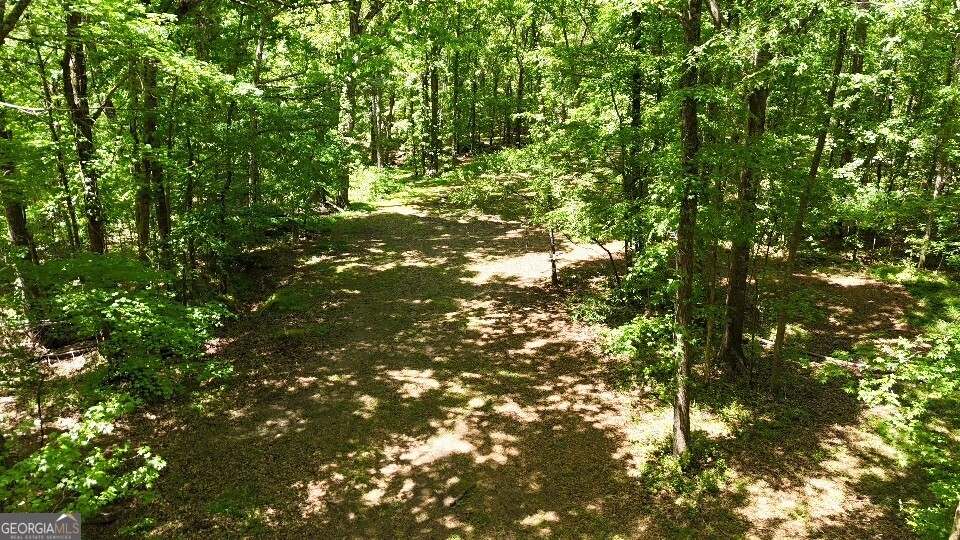 955 Cheatham Road Property Photo 16