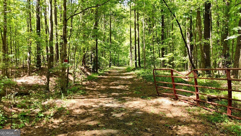 955 Cheatham Road Property Photo 18