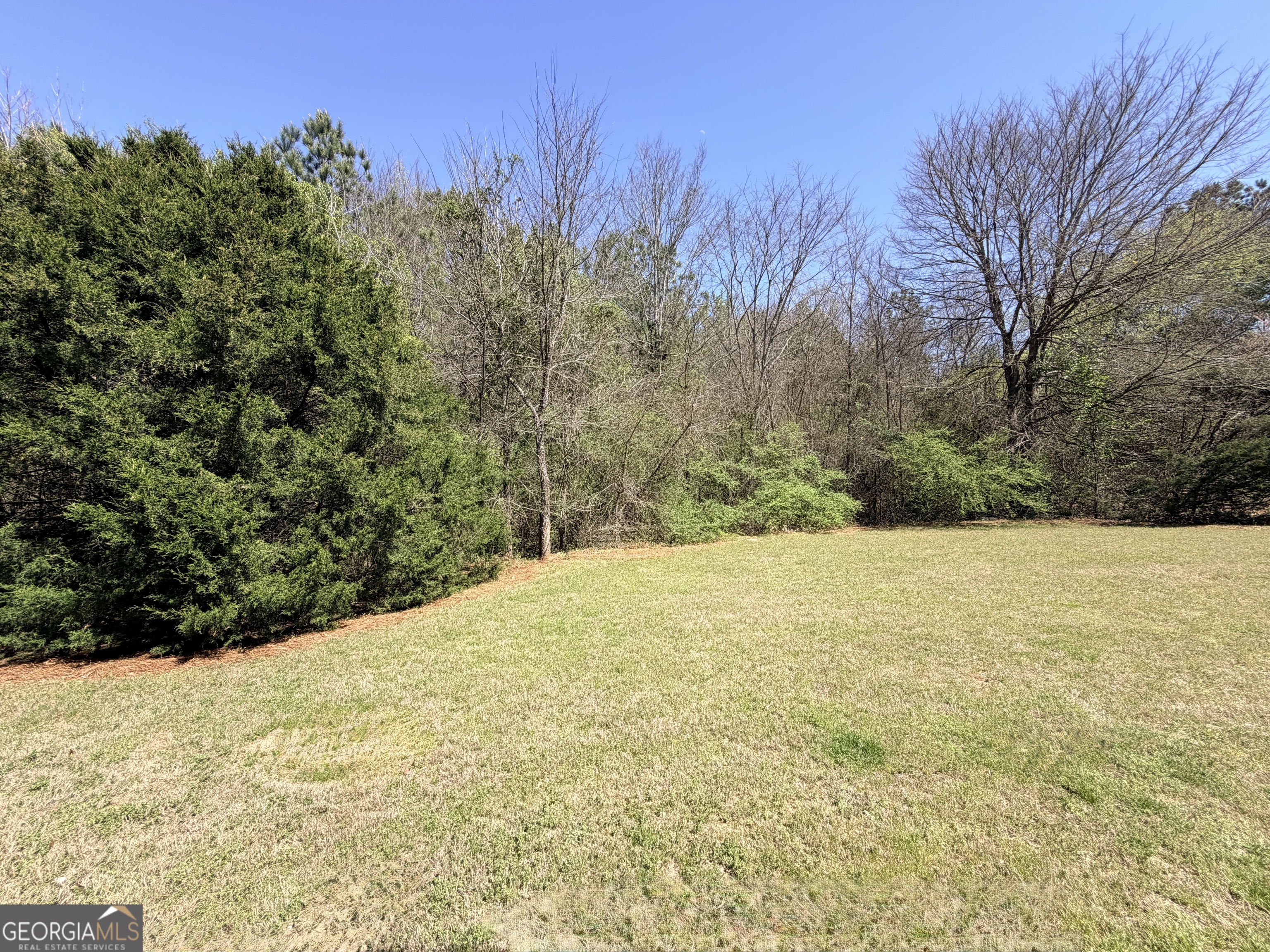 1601 Honeysuckle Path Property Photo 33
