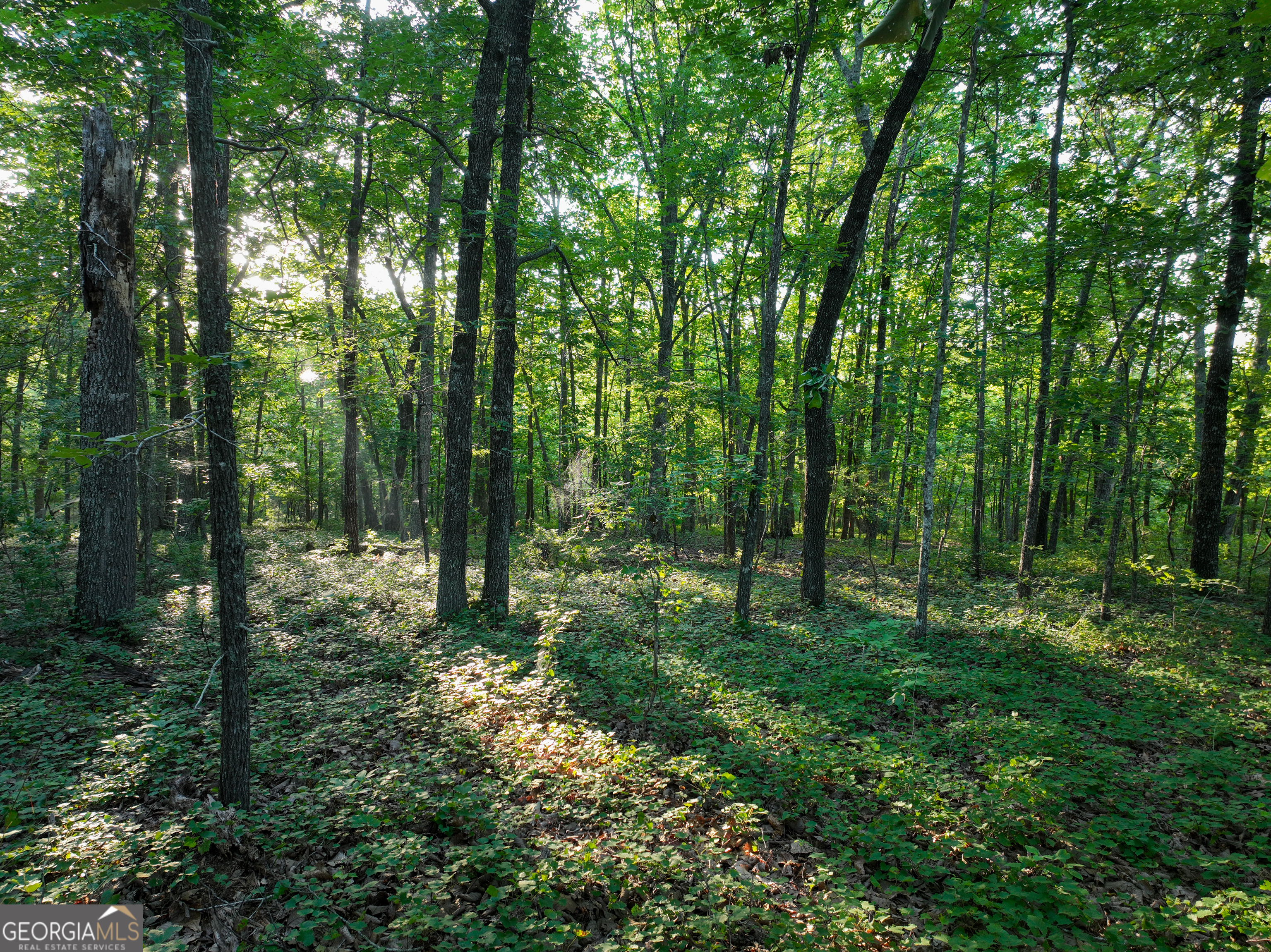 3270 Jeff Davis Road Property Photo 2