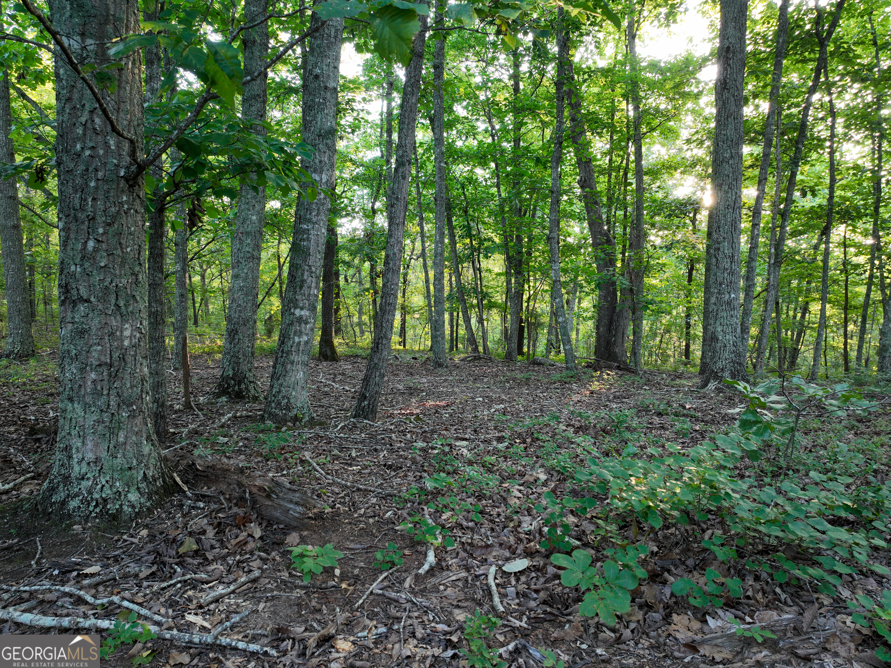 3270 Jeff Davis Road Property Photo 29