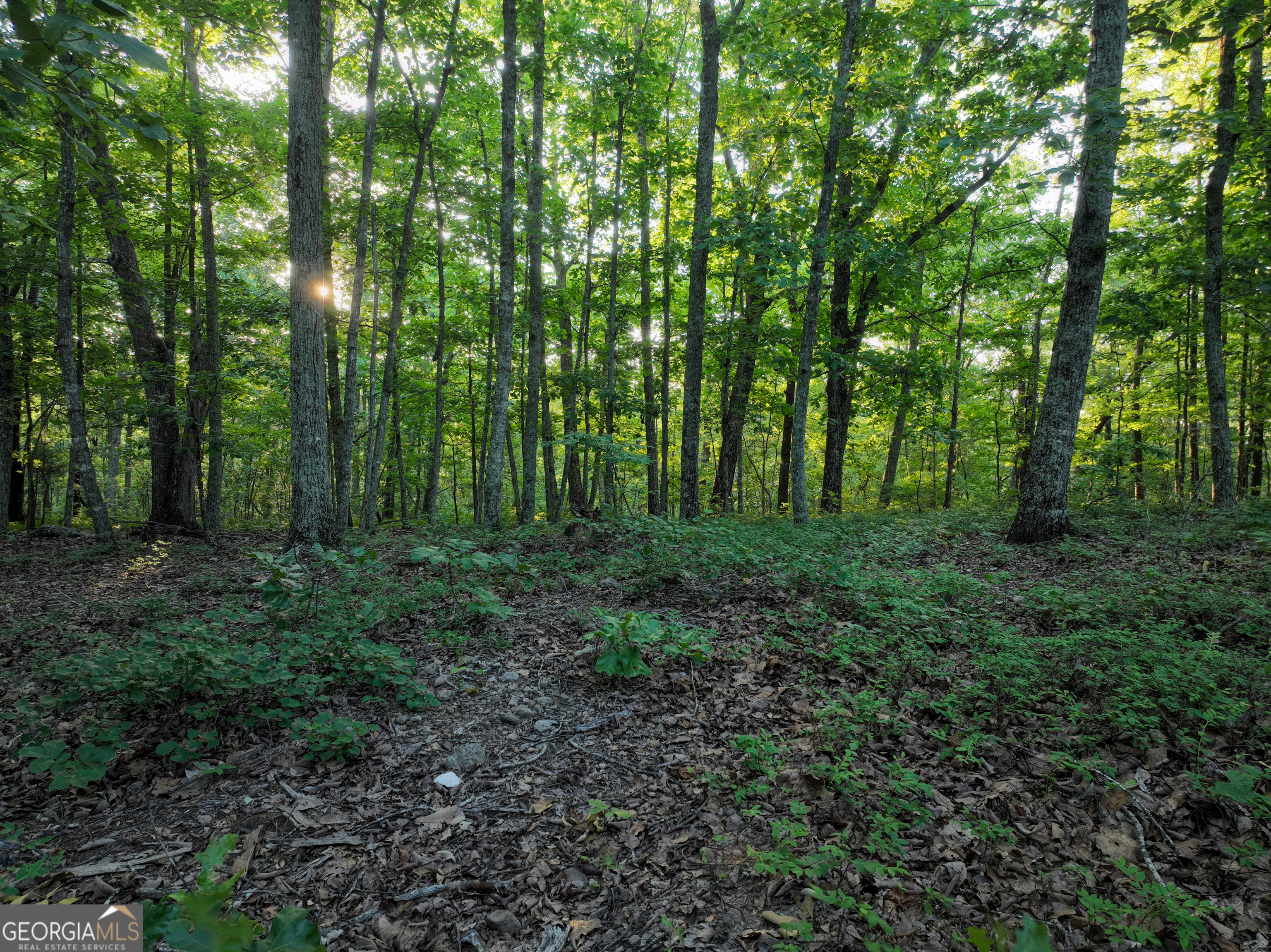3270 Jeff Davis Road Property Photo 31