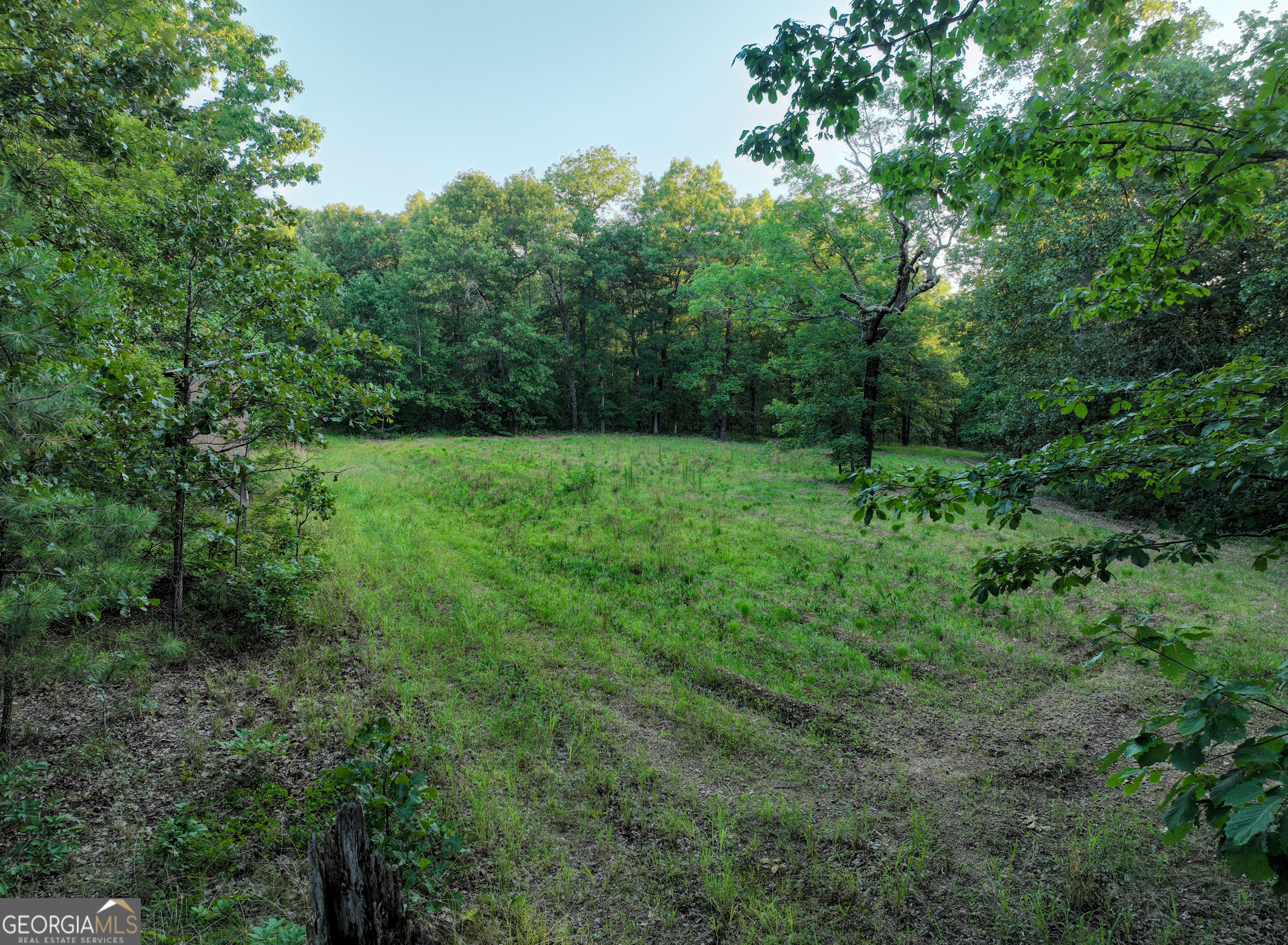 3270 Jeff Davis Road Property Photo 33