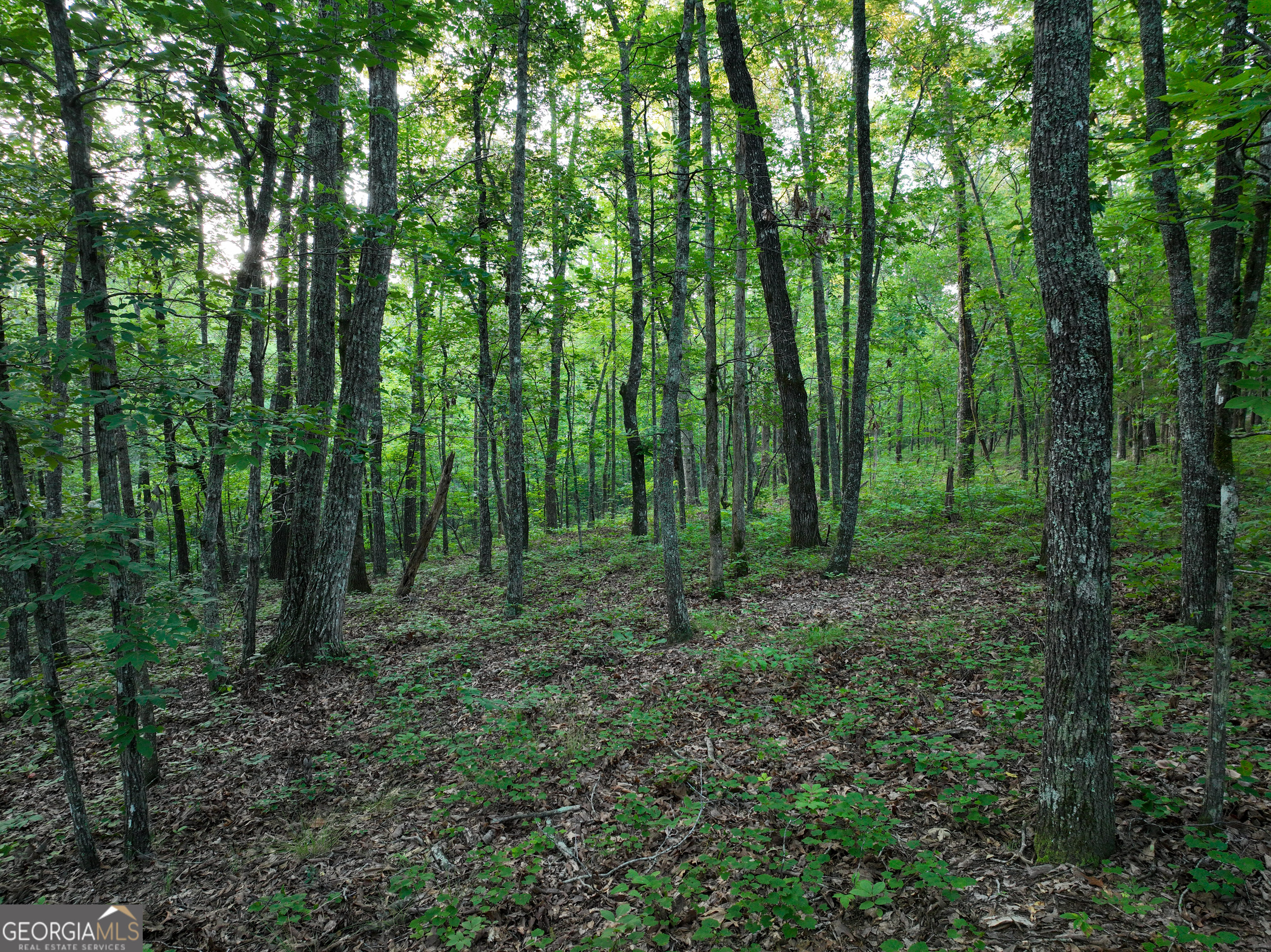 3270 Jeff Davis Road Property Photo 34