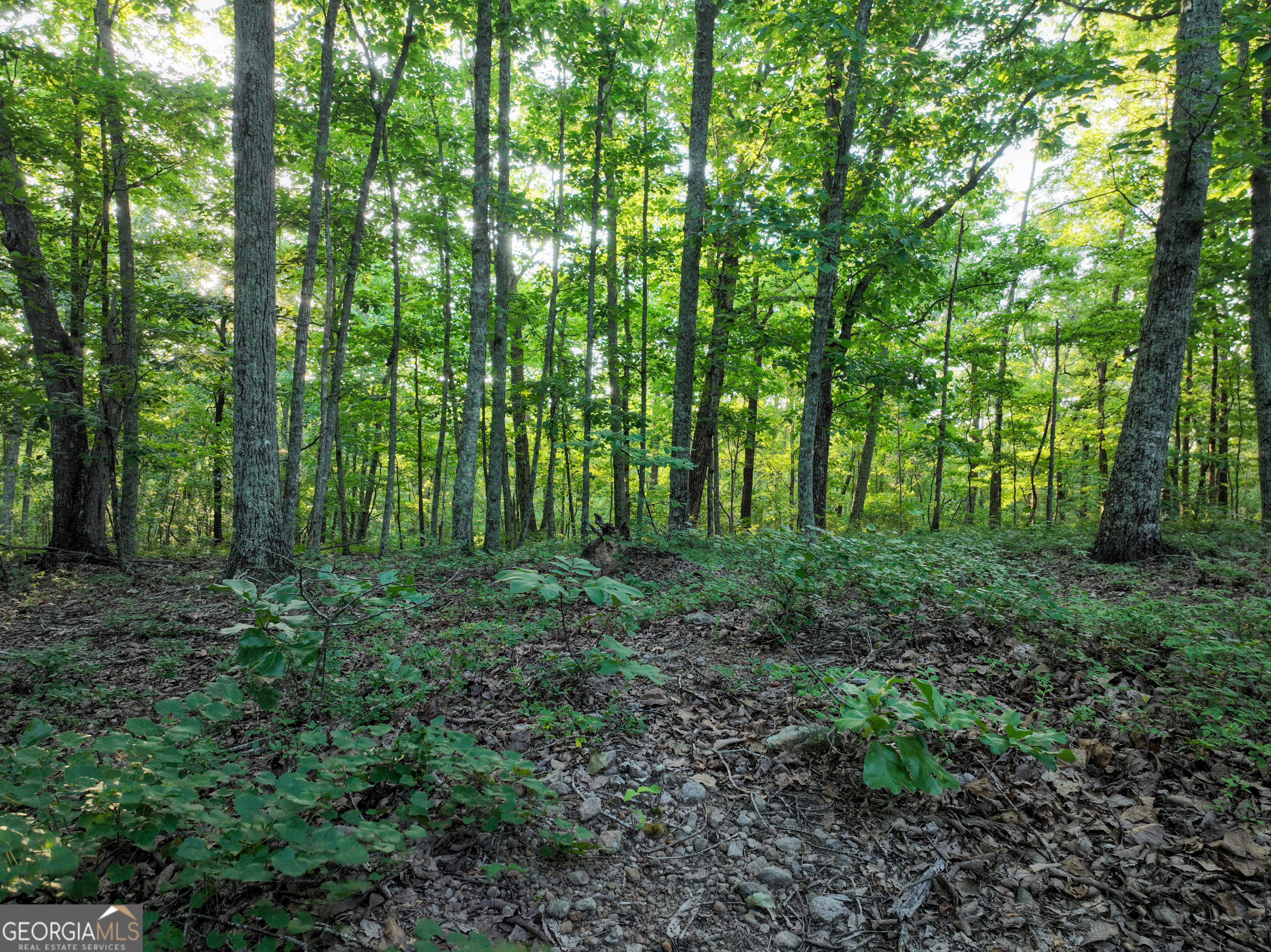 3270 Jeff Davis Road Property Photo 35