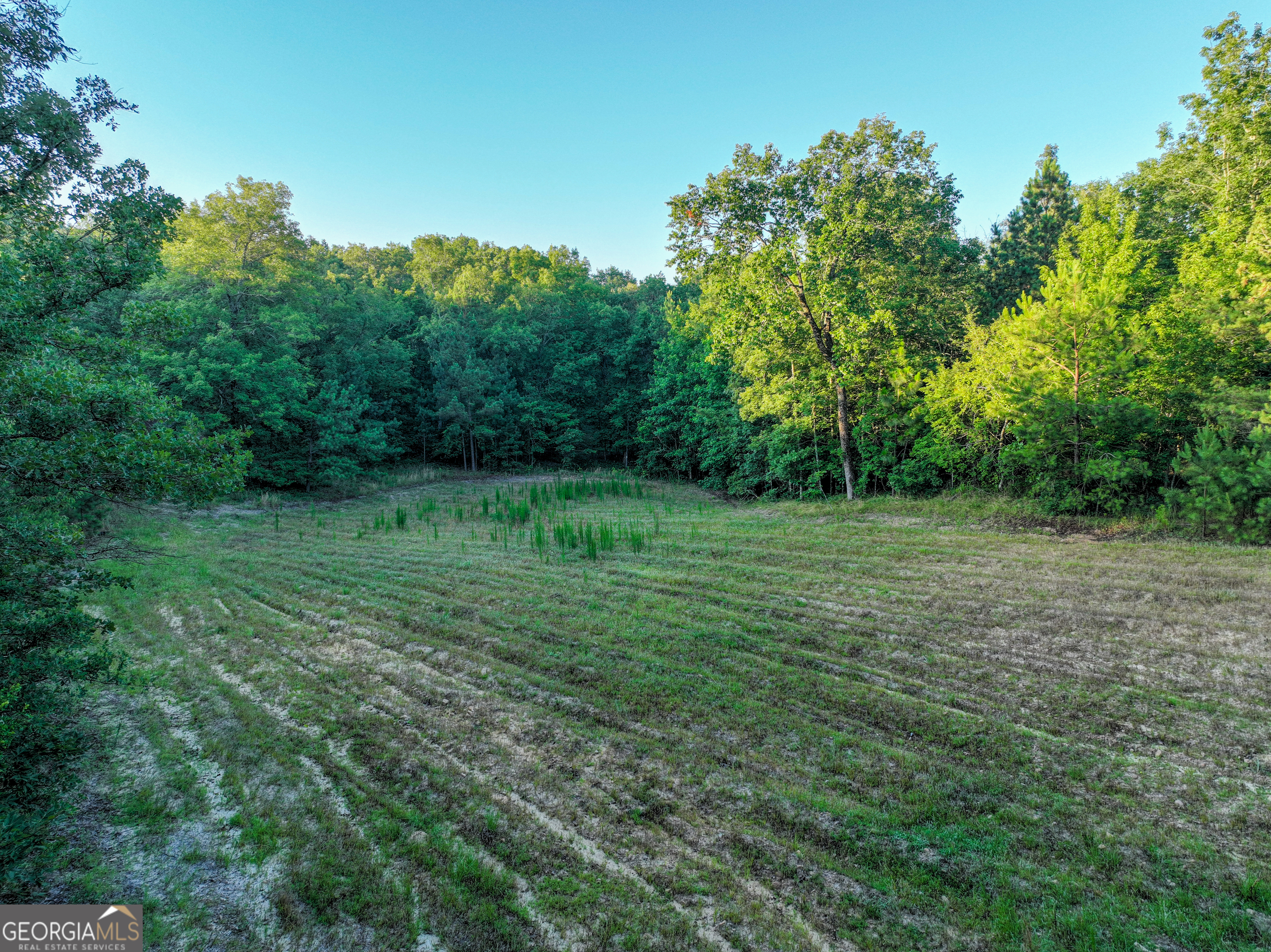 3270 Jeff Davis Road Property Photo 37
