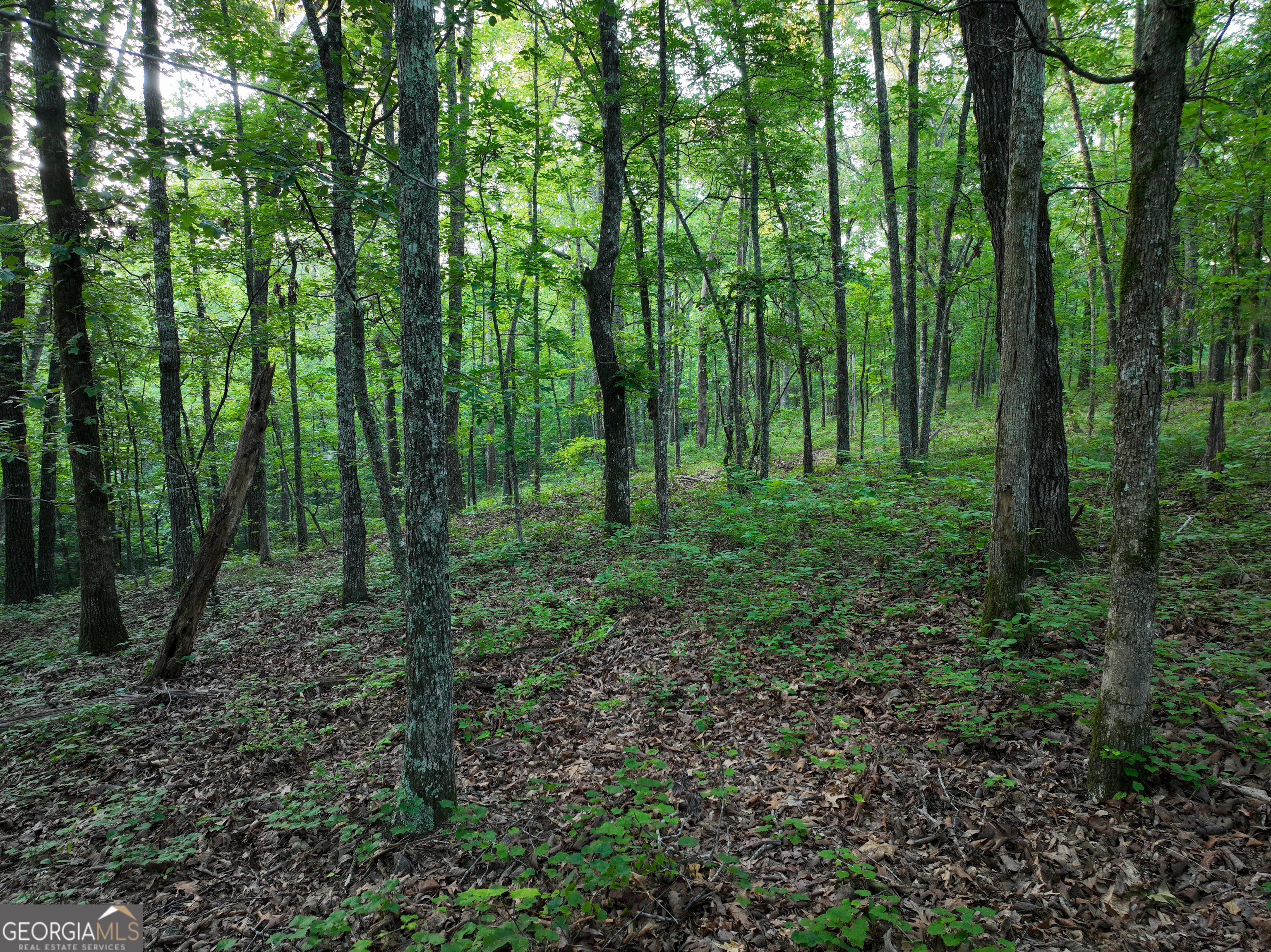 3270 Jeff Davis Road Property Photo 39
