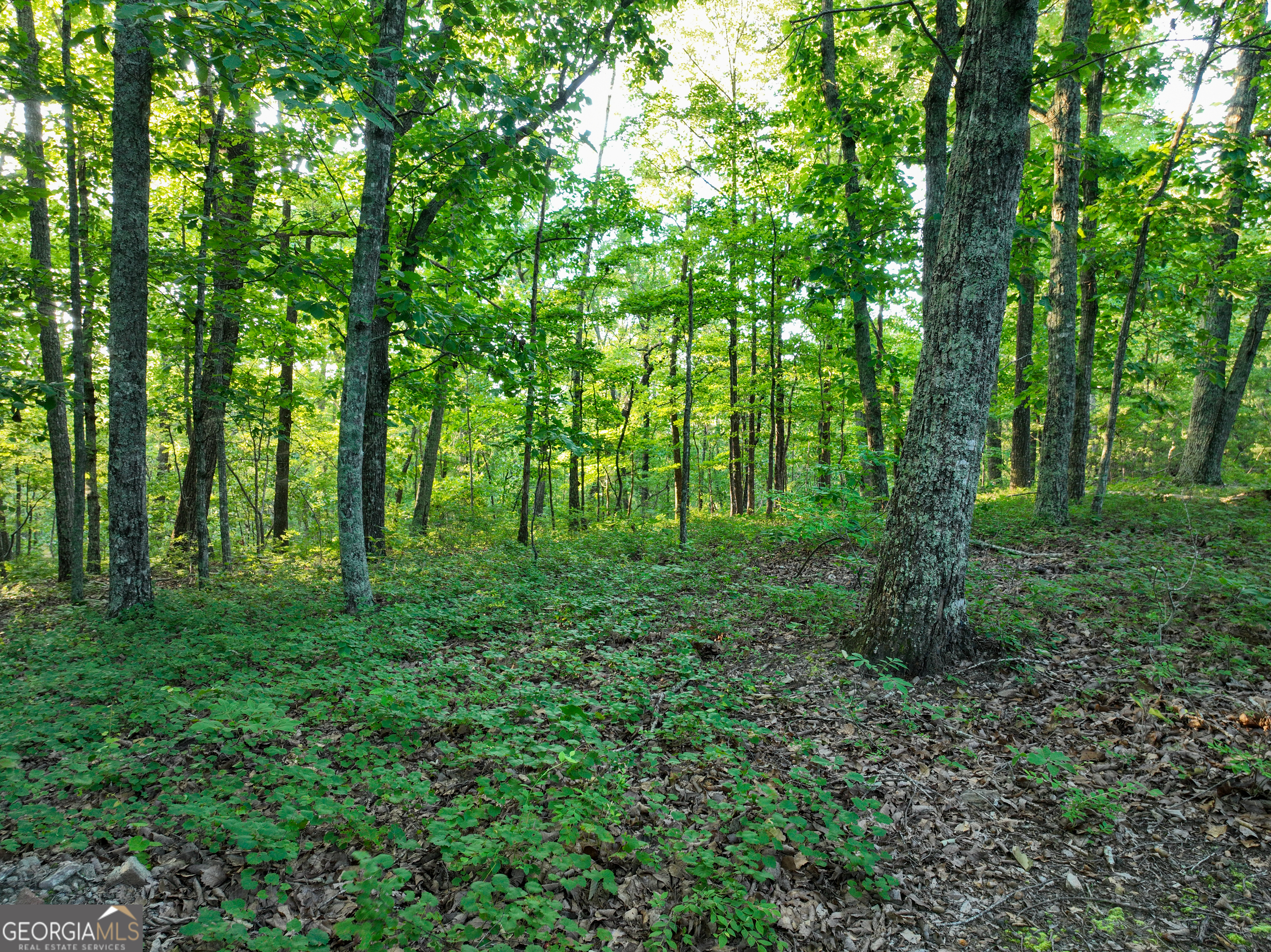 3270 Jeff Davis Road Property Photo 40
