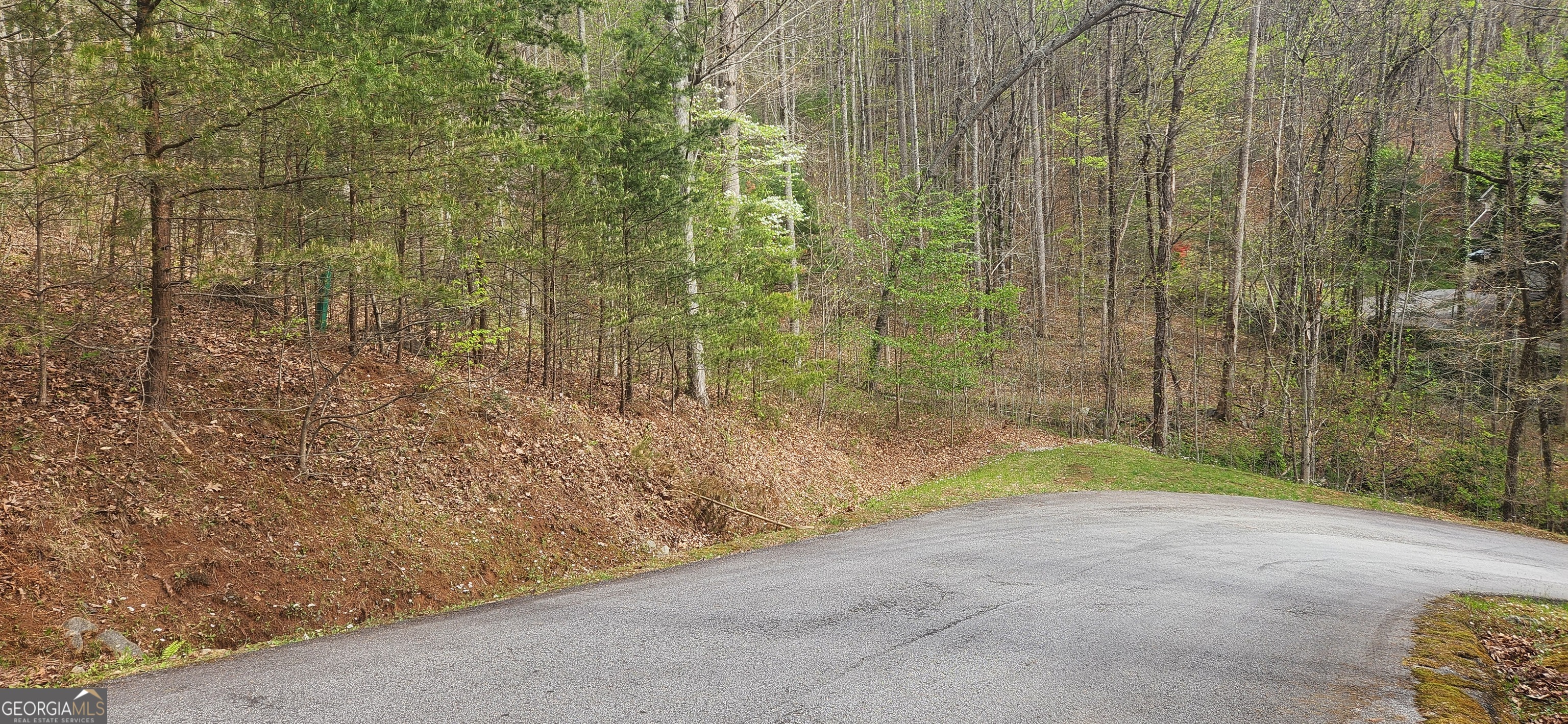 0 (lot 13) Yellow Trillium Property Photo 2