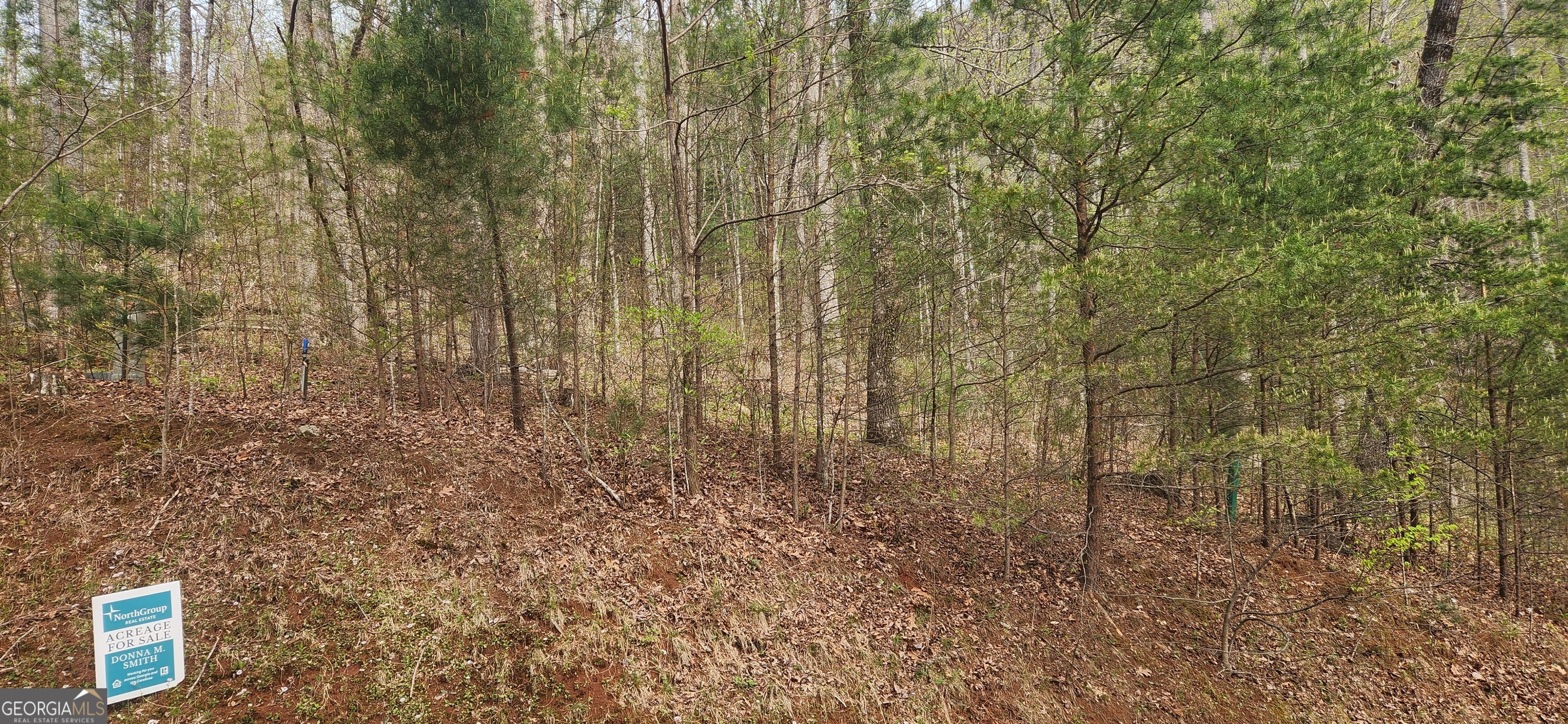 0 (lot 13) Yellow Trillium Property Photo 3
