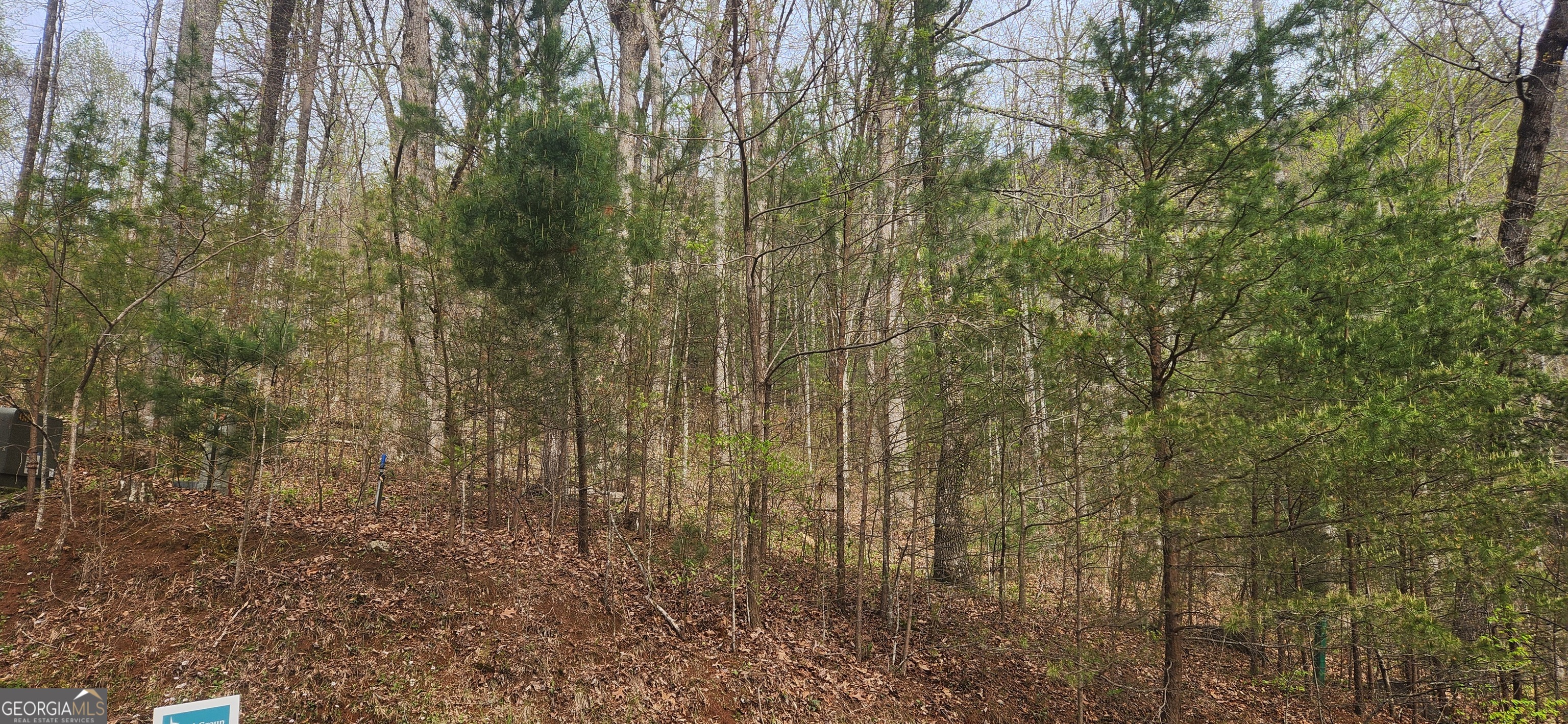 0 (lot 13) Yellow Trillium Property Photo 4