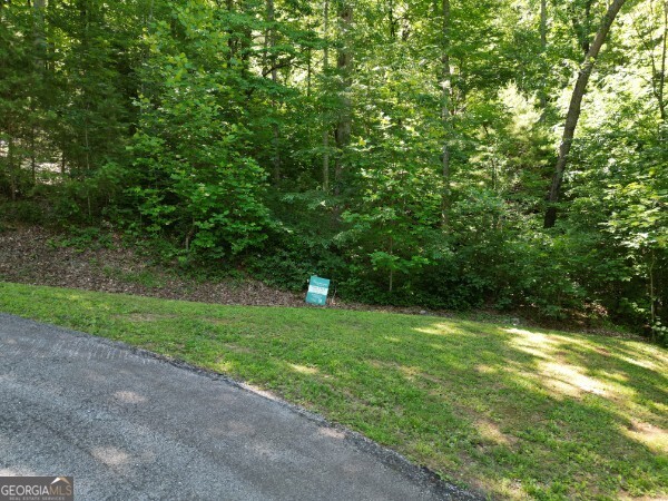 0 (lot 13) Yellow Trillium Property Photo 7