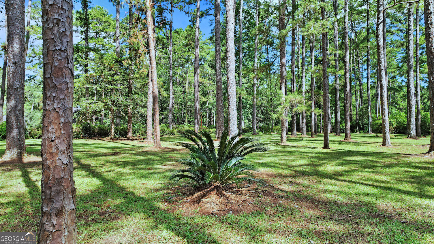 1270 Wadsworth Drive Property Photo 11
