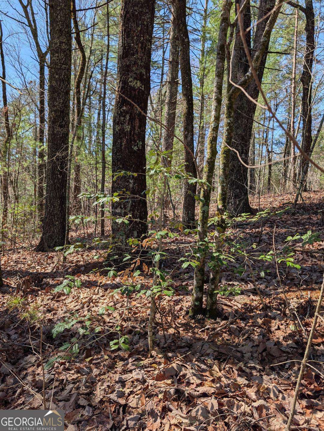 0 Amber Lane Property Photo 1