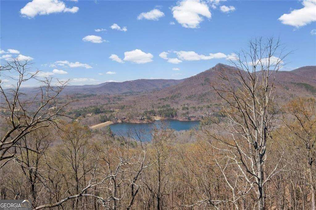 360 Locust Trail Property Photo 12