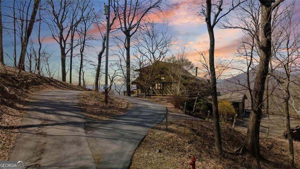 360 Locust Trail Property Photo 42