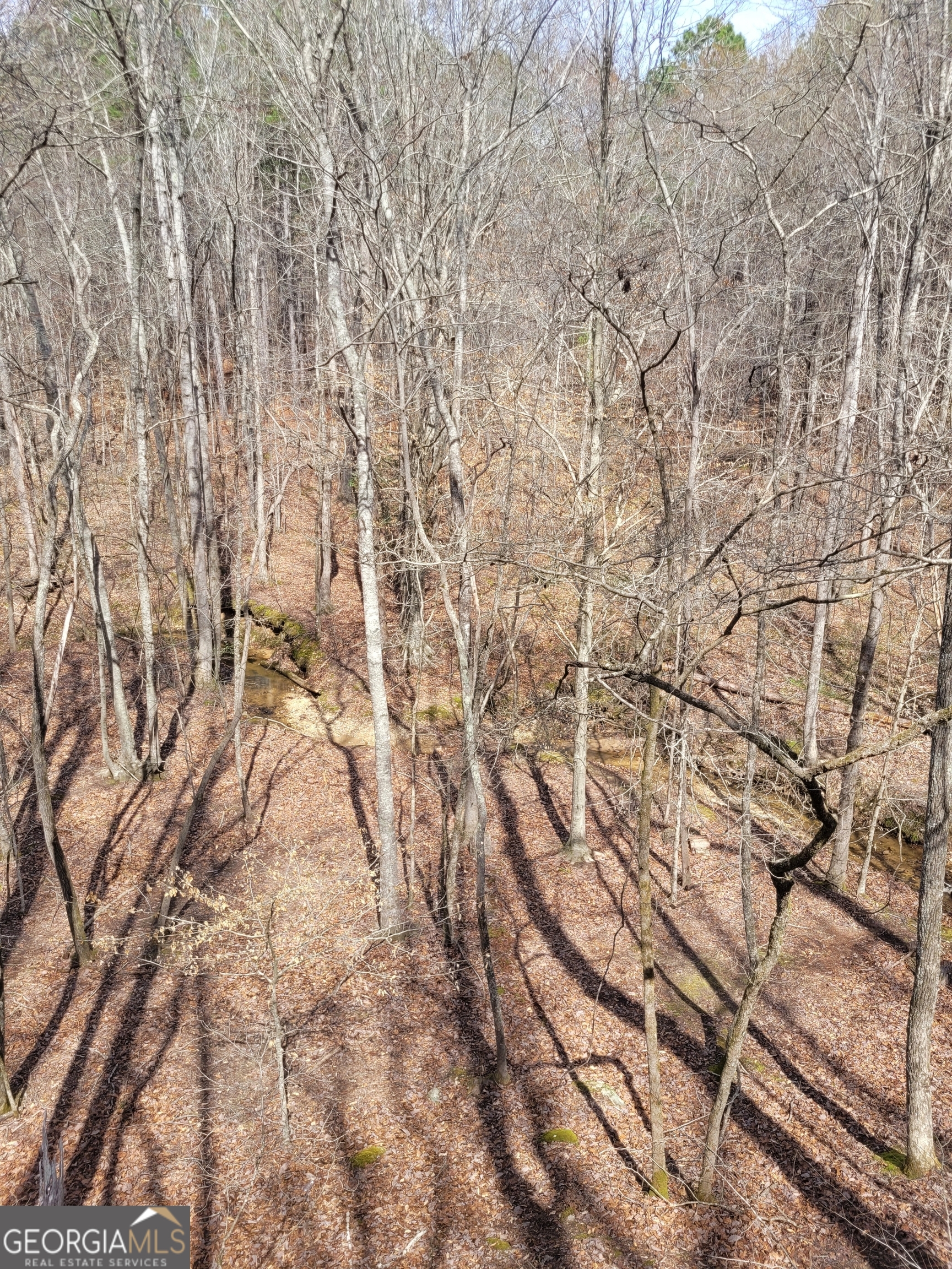 2600 Mcpherson Church Road Property Photo 2