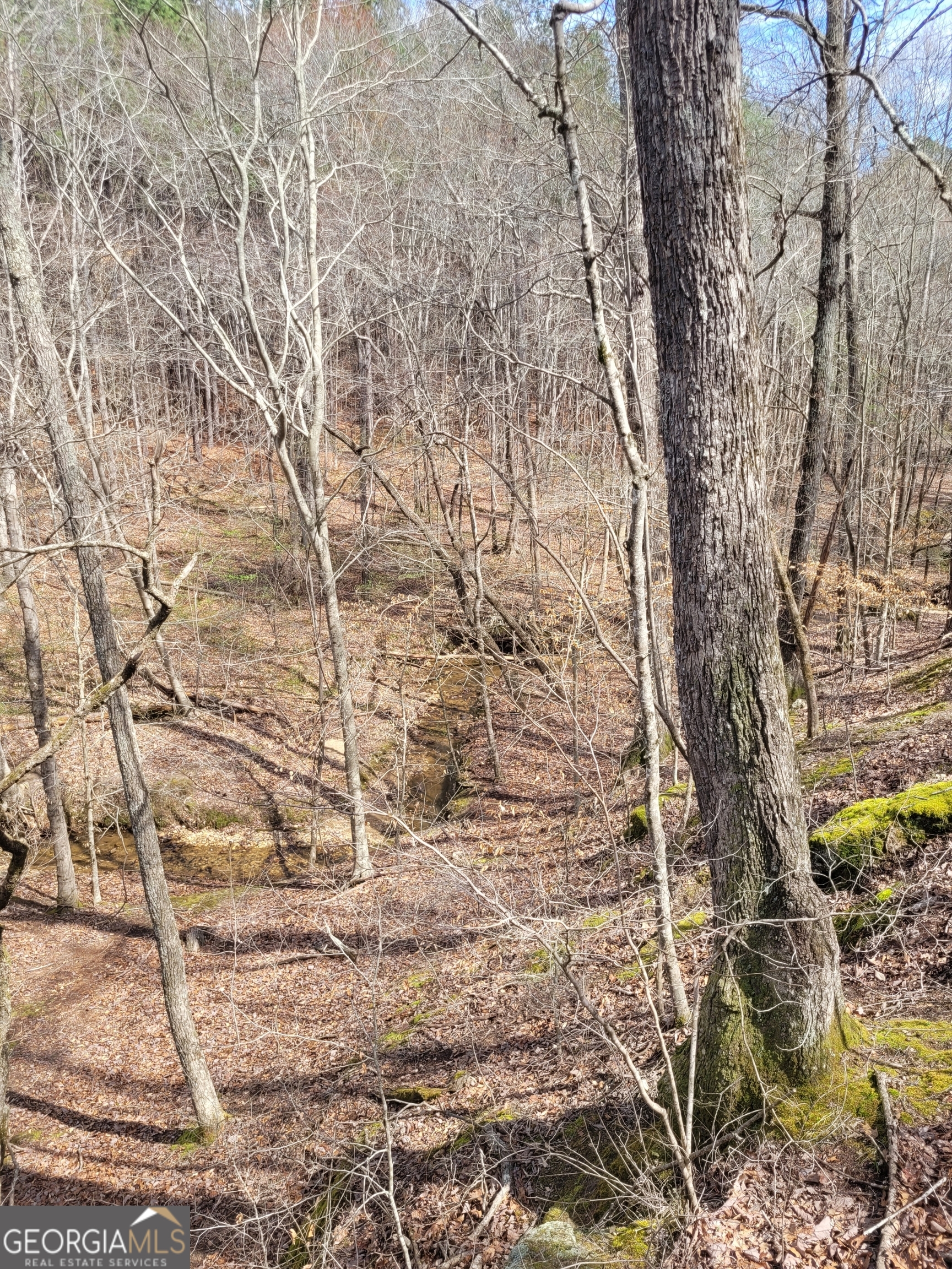 2600 Mcpherson Church Road Property Photo 5
