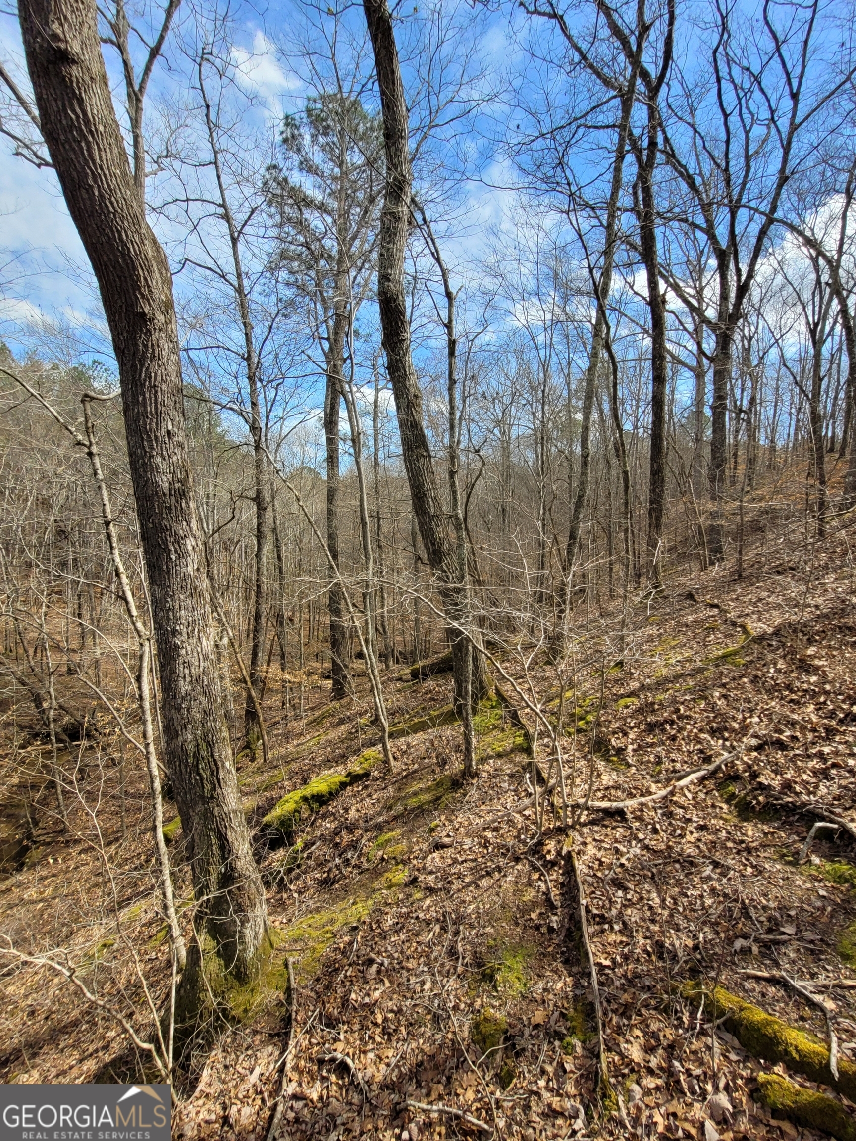2600 Mcpherson Church Road Property Photo 7