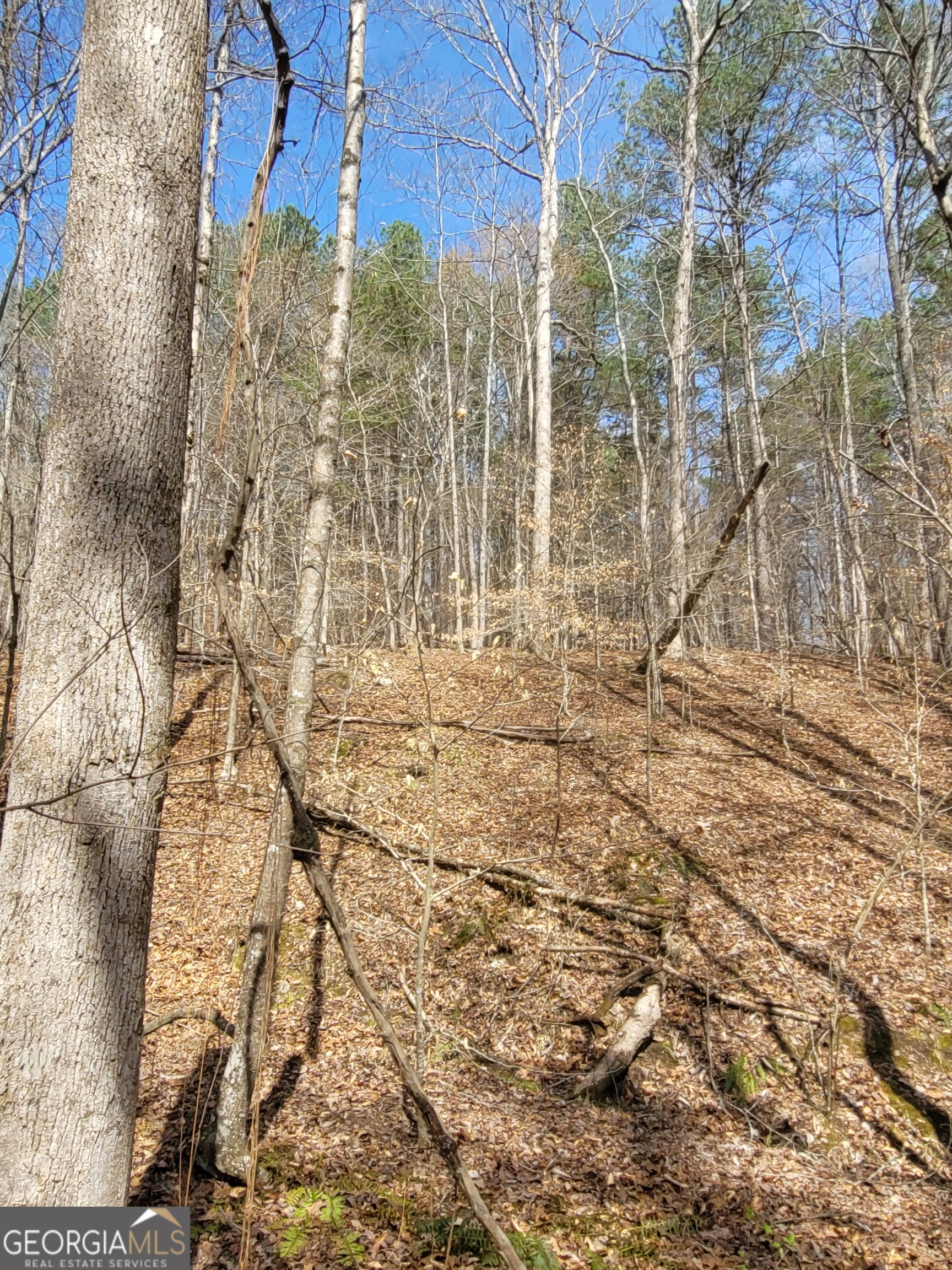 2600 Mcpherson Church Road Property Photo 15