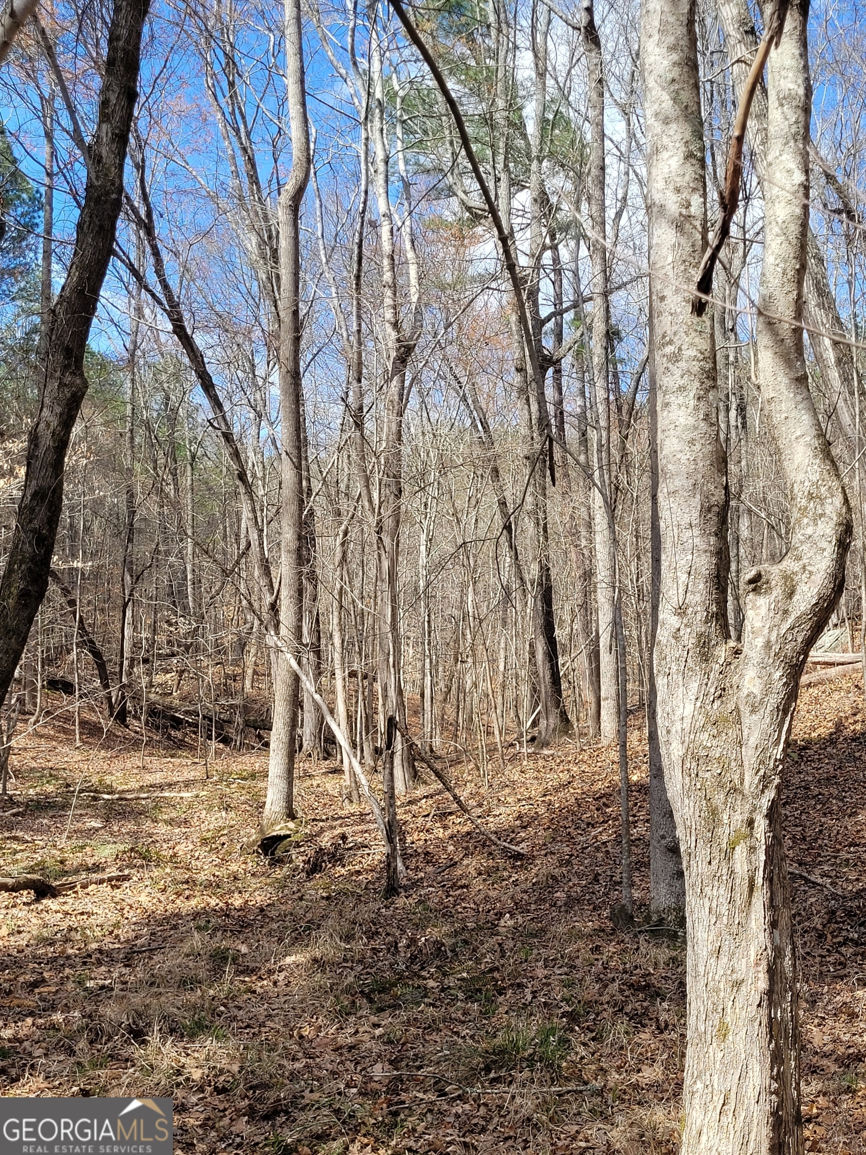 2600 Mcpherson Church Road Property Photo 16