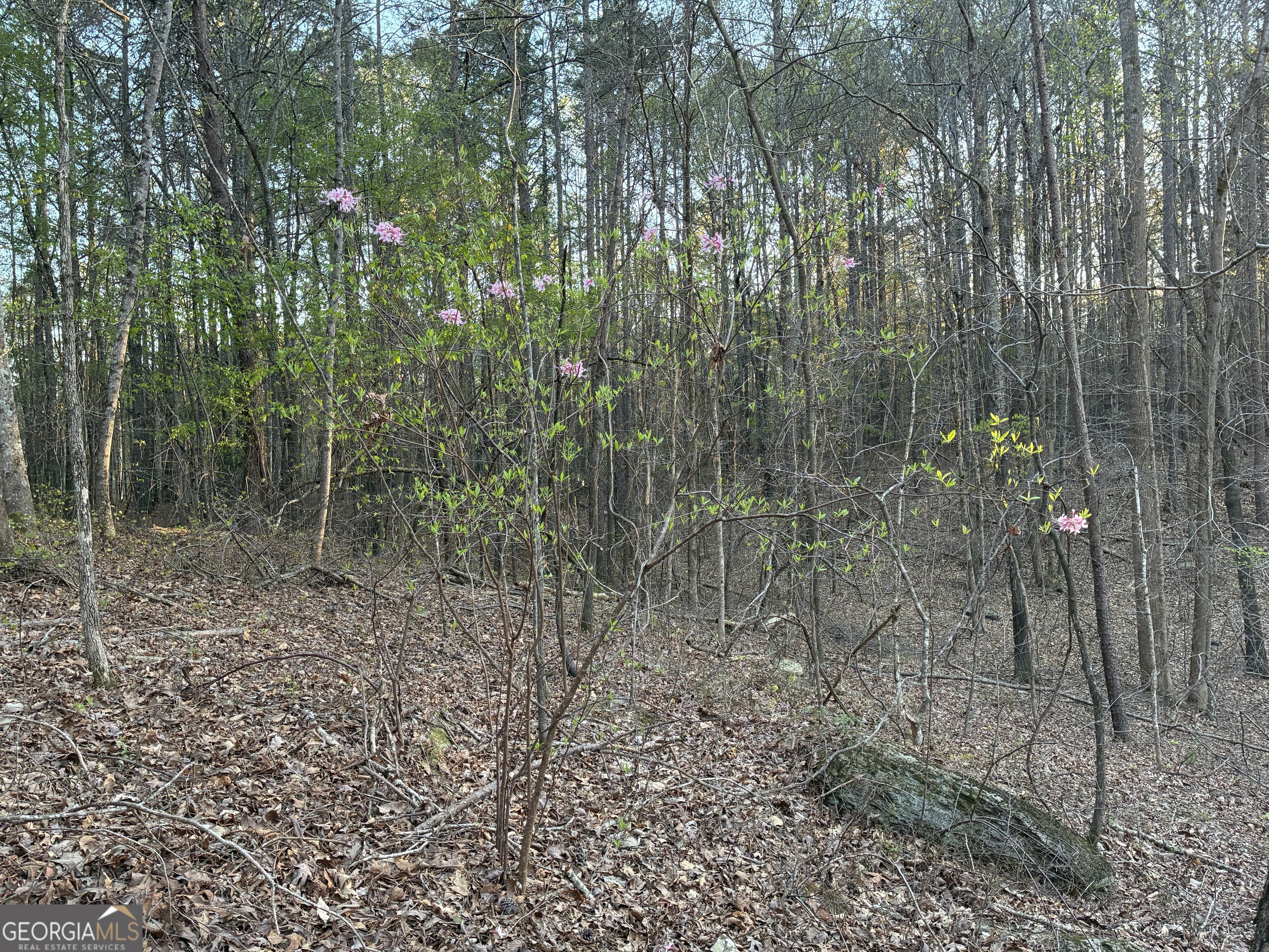 2600 Mcpherson Church Road Property Photo 20