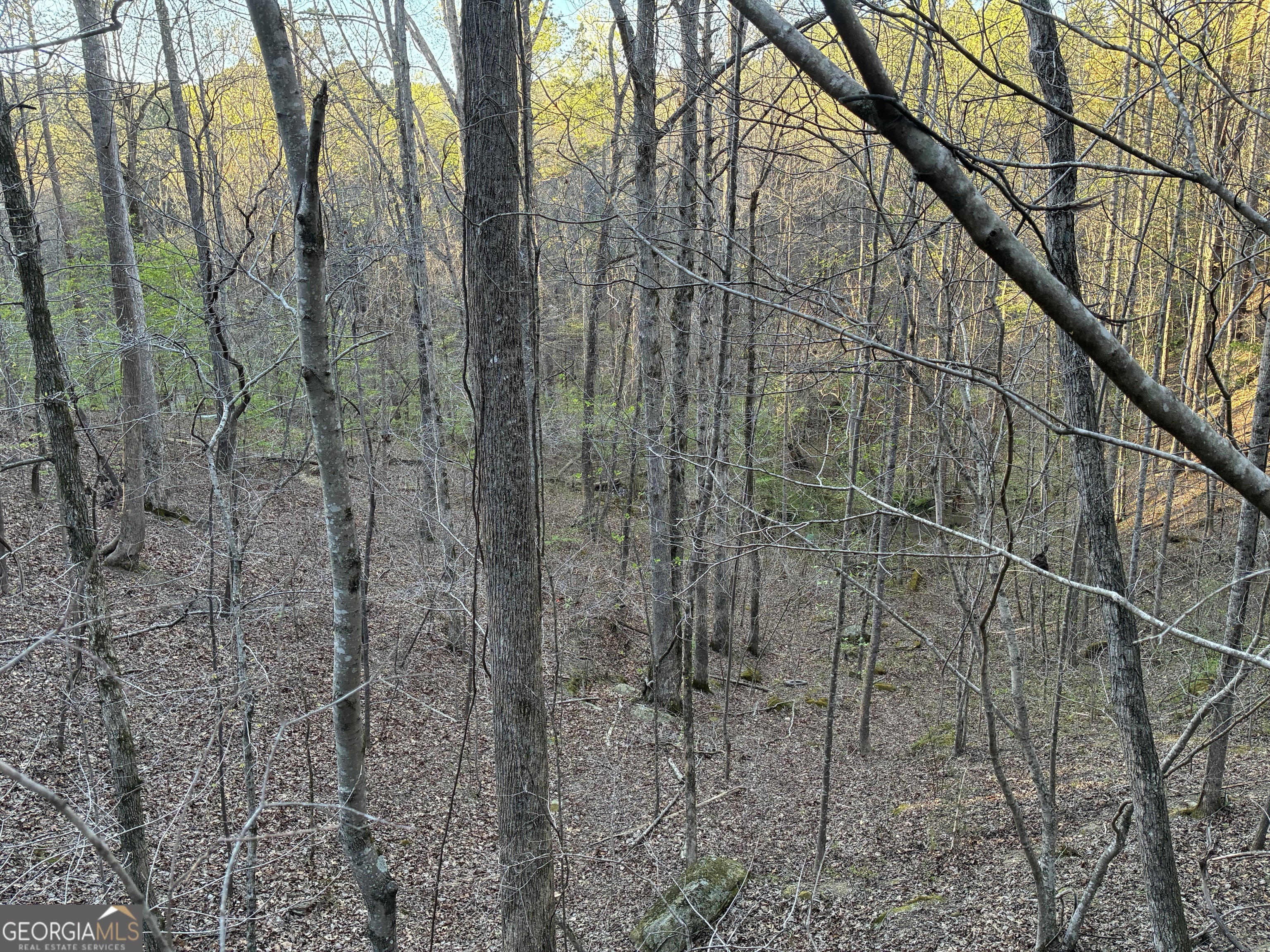 2600 Mcpherson Church Road Property Photo 21