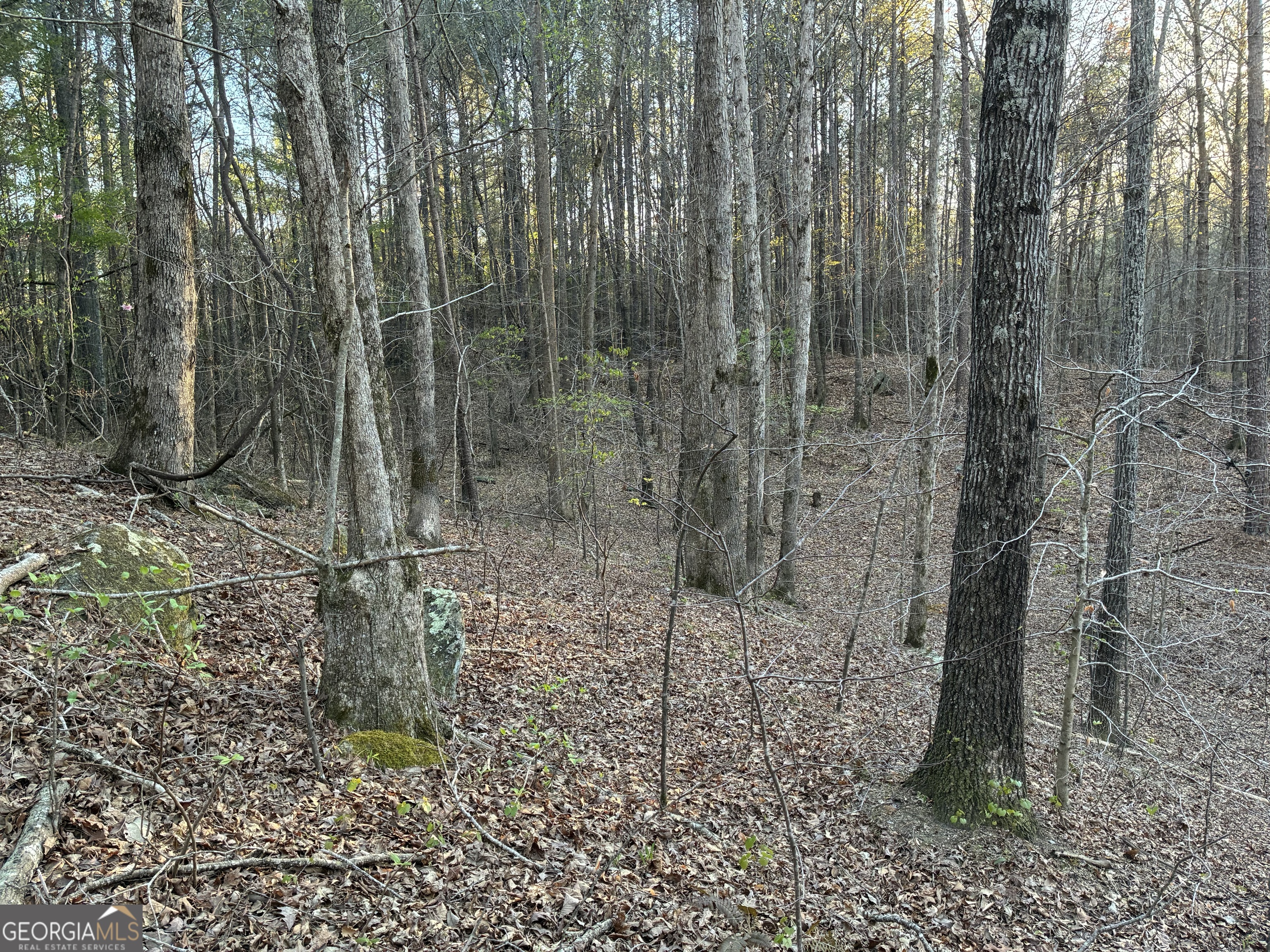 2600 Mcpherson Church Road Property Photo 23