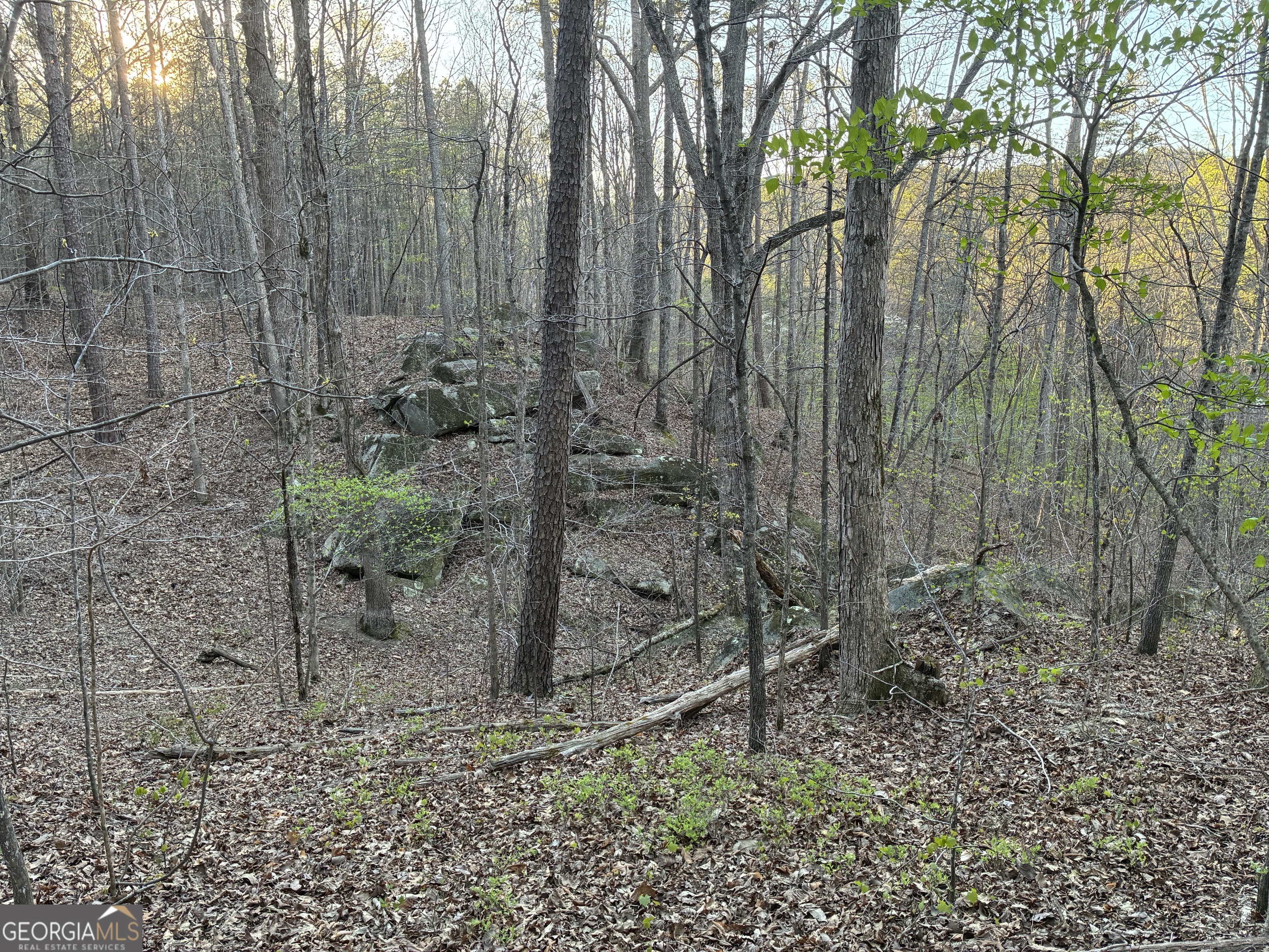 2600 Mcpherson Church Road Property Photo 24