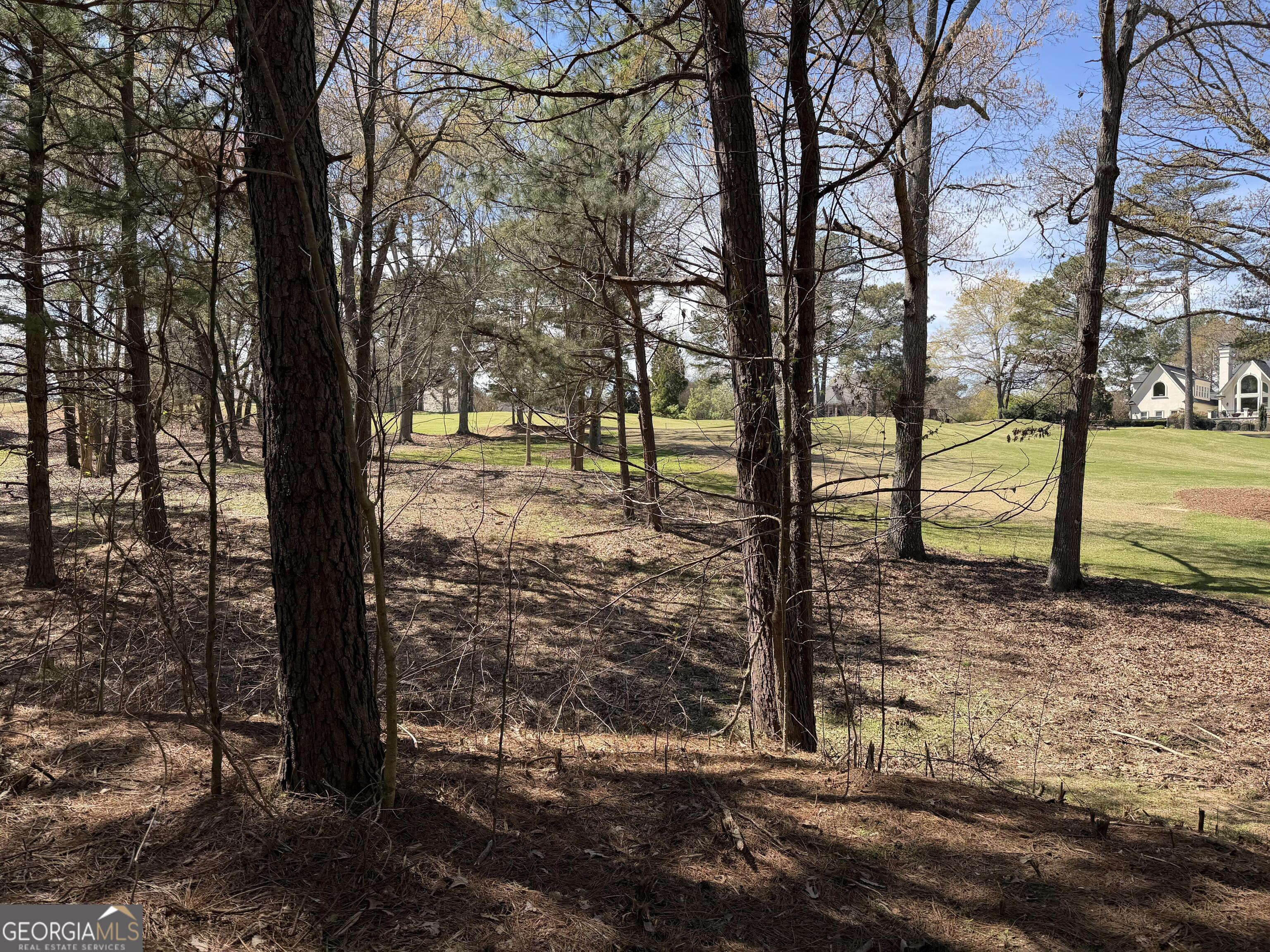 1894 Sam Snead Drive Property Photo 3