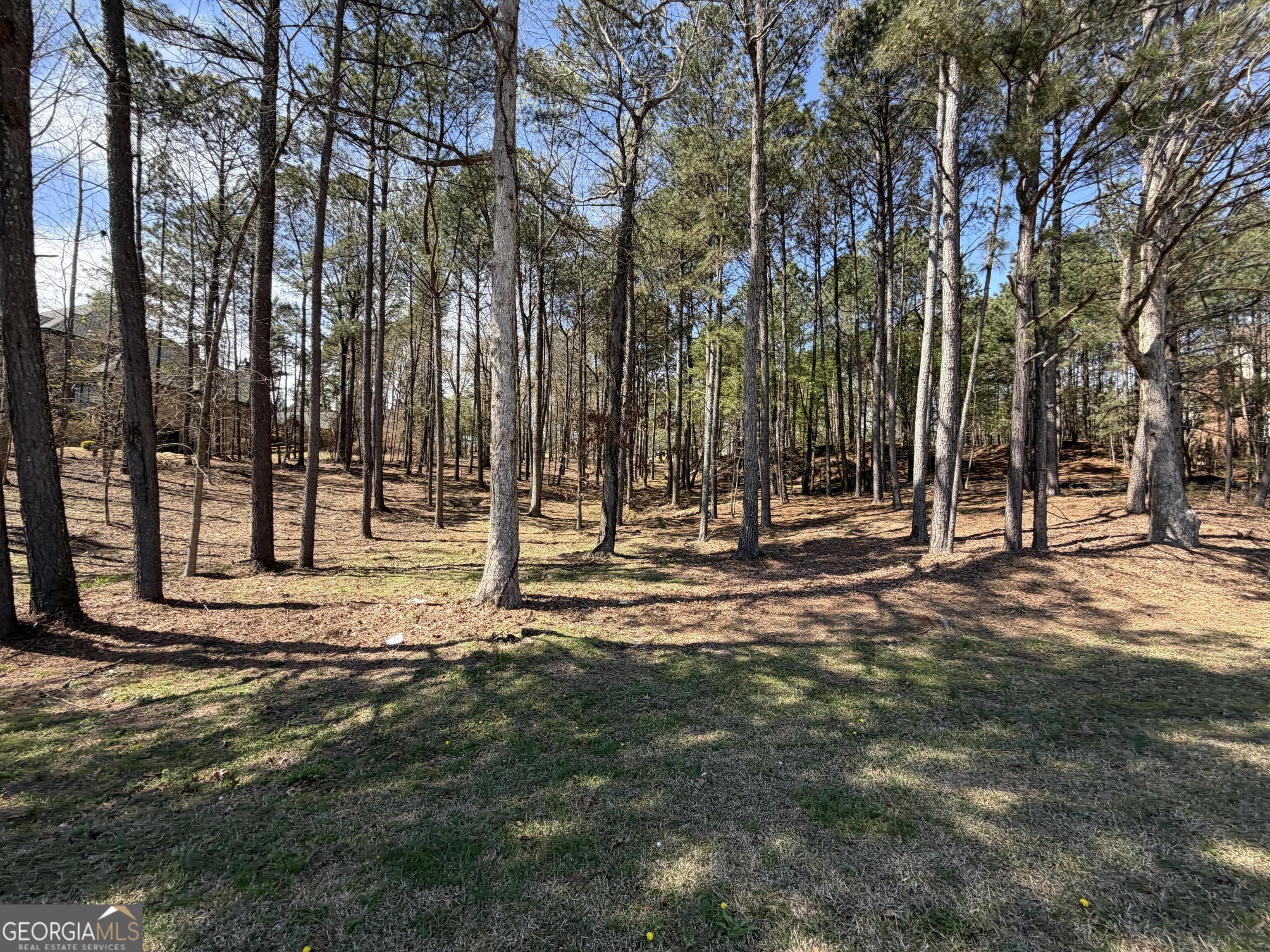 1894 Sam Snead Drive Property Photo 4