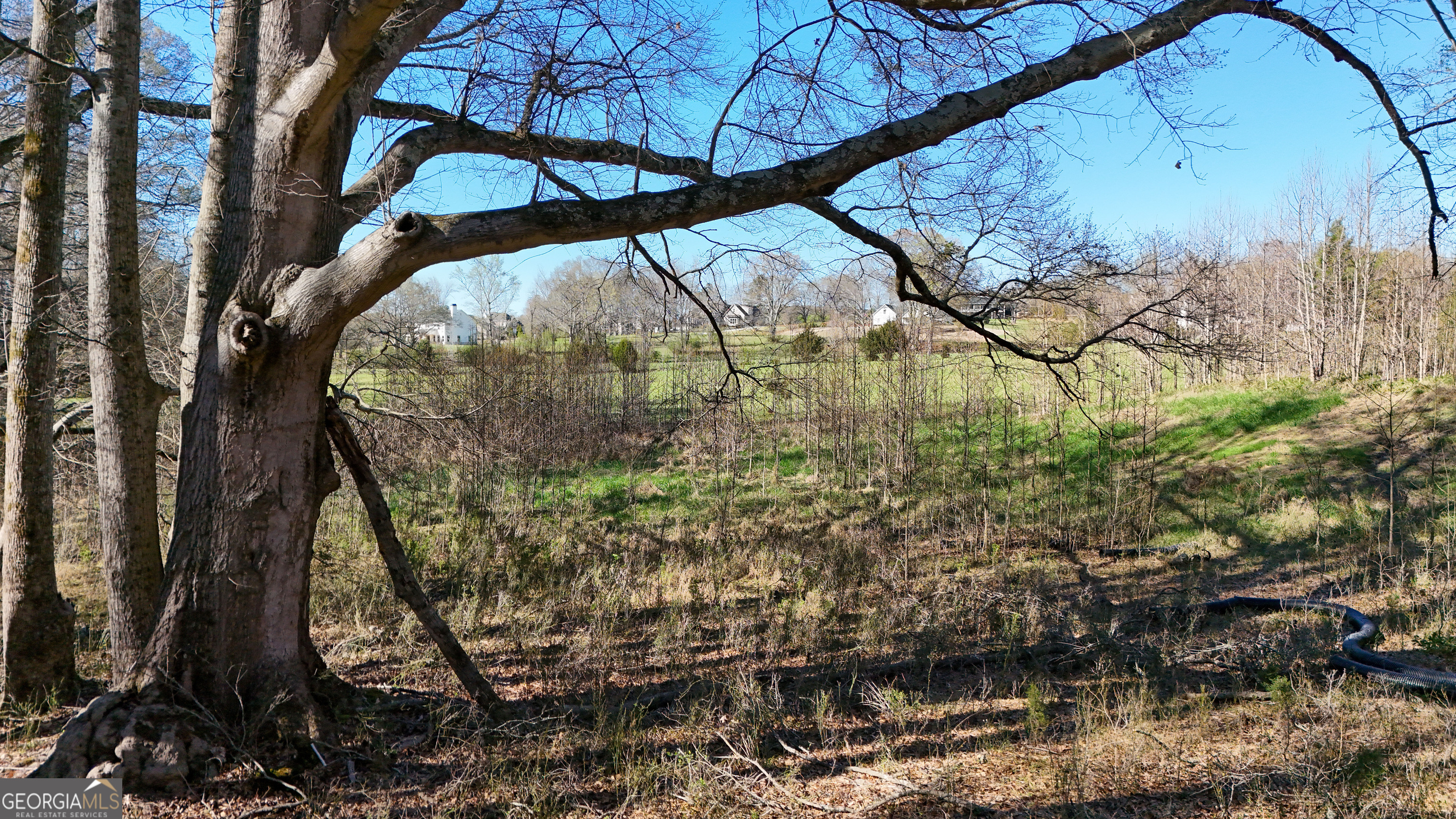 40 Meadow Trail Property Photo 10