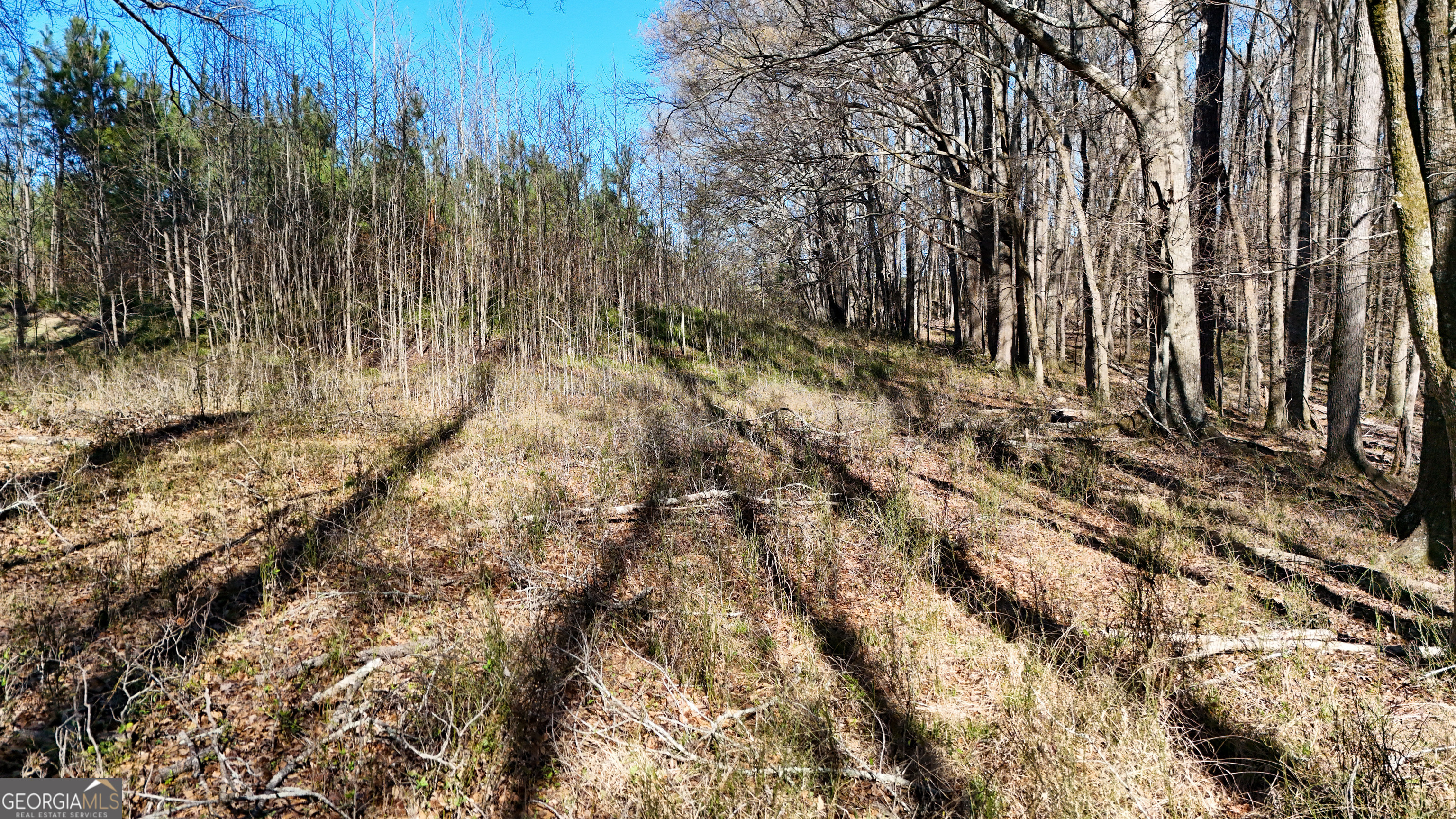 40 Meadow Trail Property Photo 11