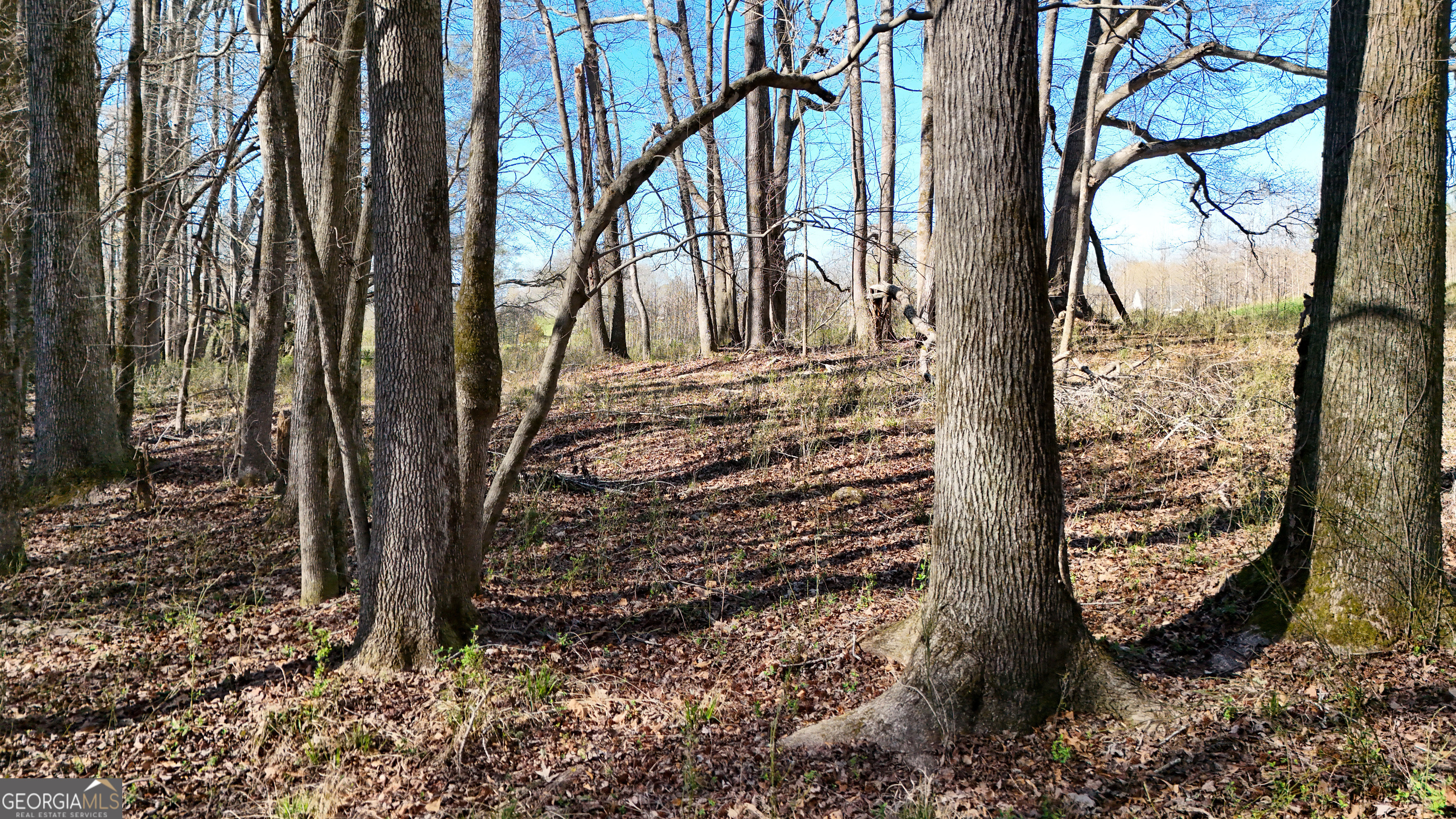 40 Meadow Trail Property Photo 12