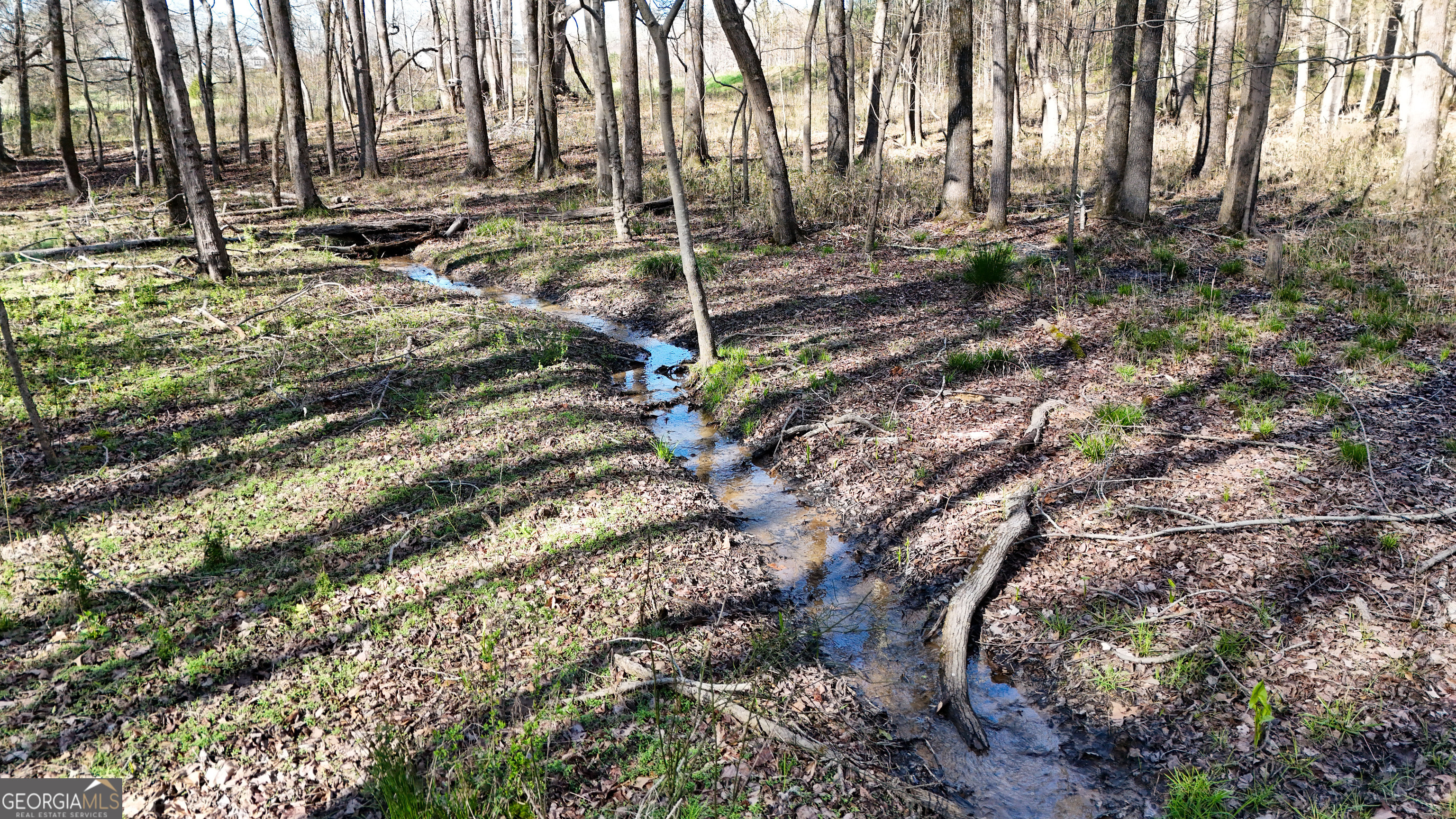 40 Meadow Trail Property Photo 15