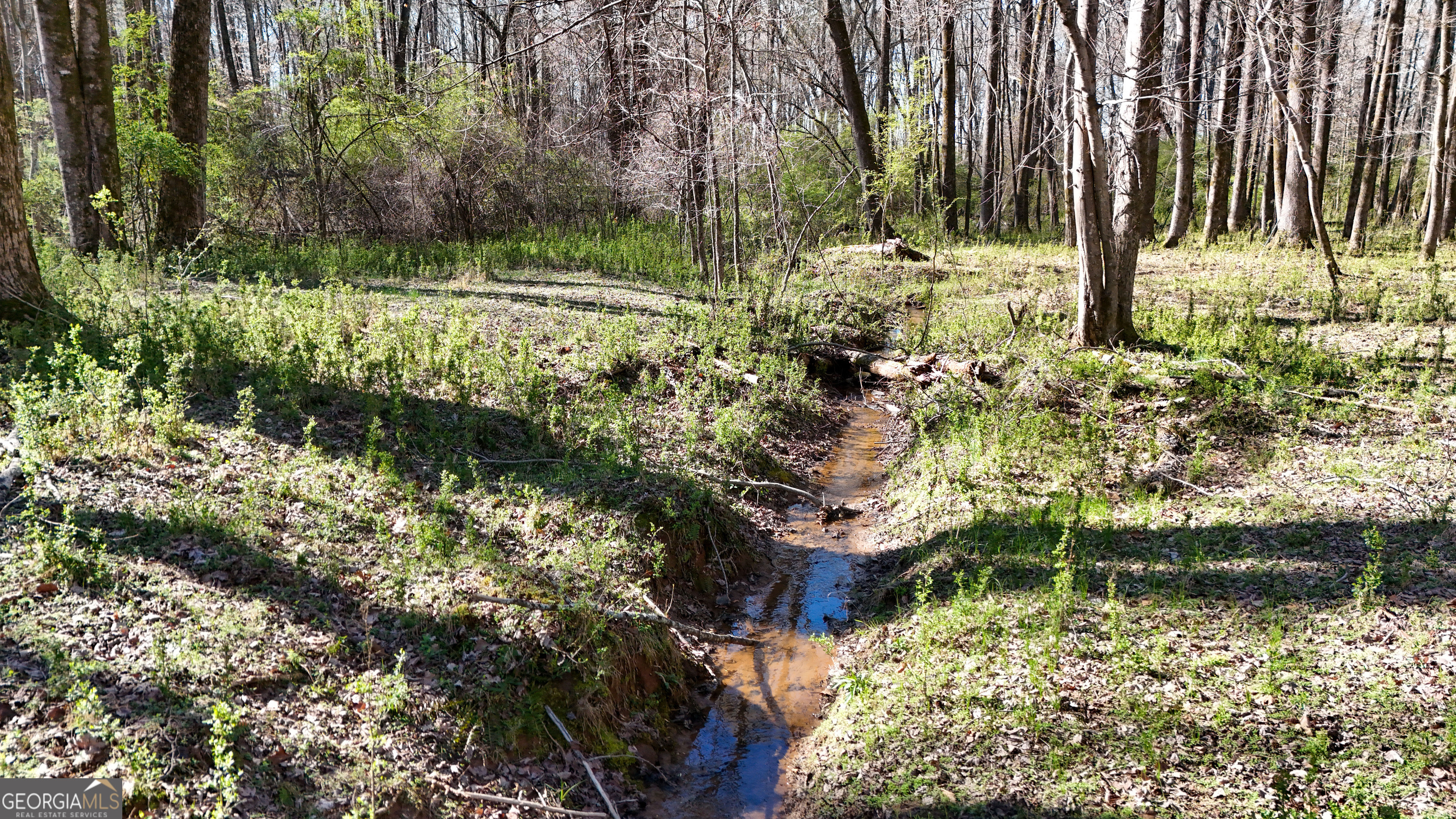 40 Meadow Trail Property Photo 17