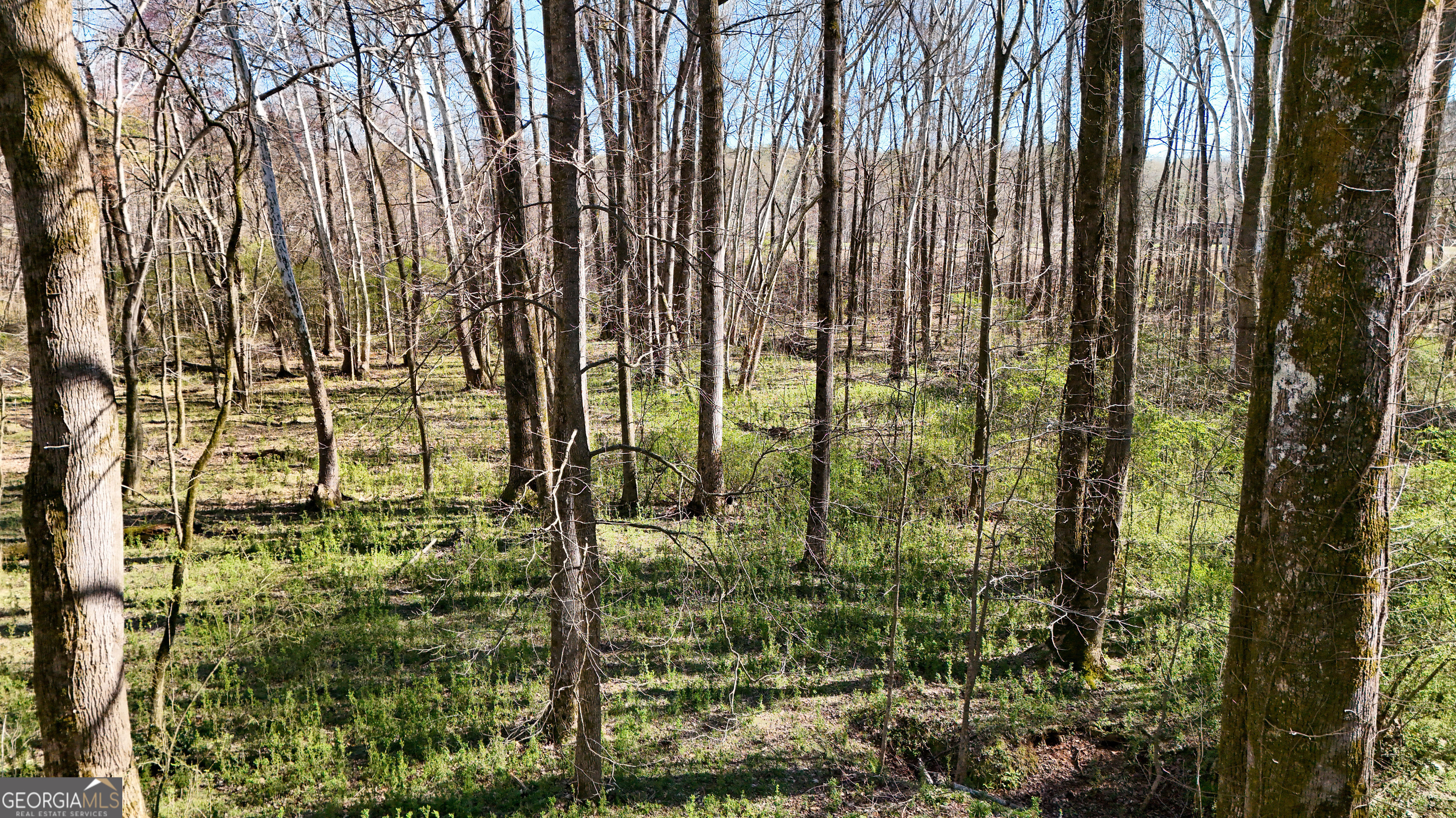40 Meadow Trail Property Photo 19