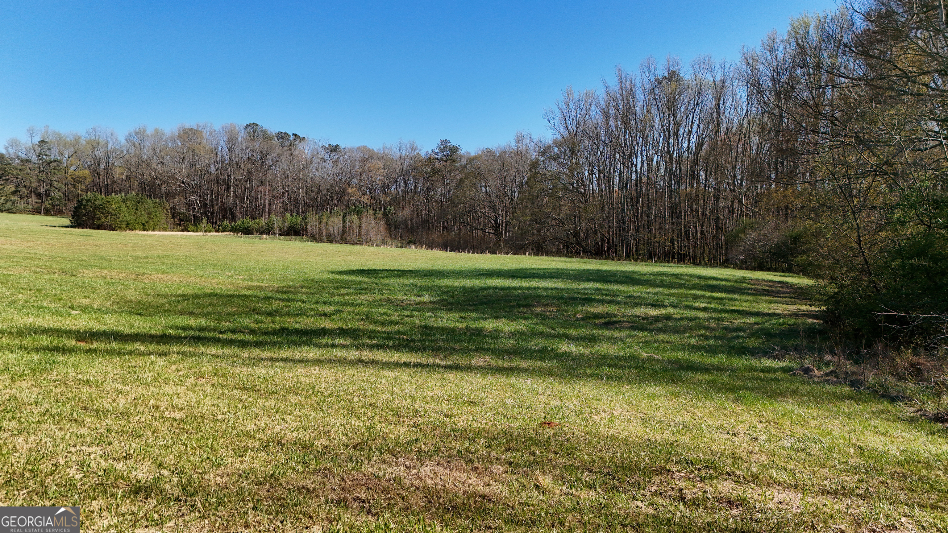 40 Meadow Trail Property Photo 21