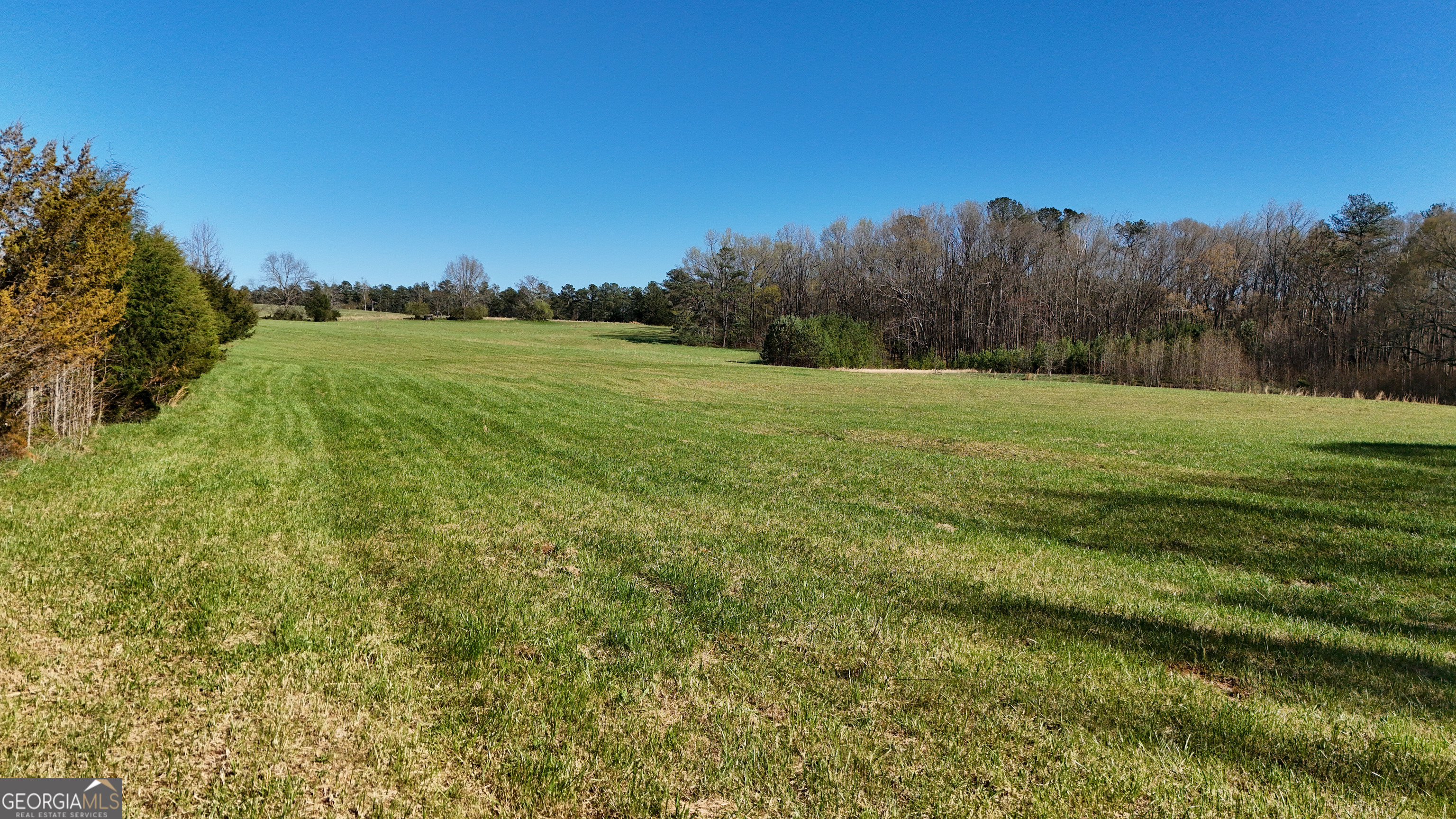 40 Meadow Trail Property Photo 22