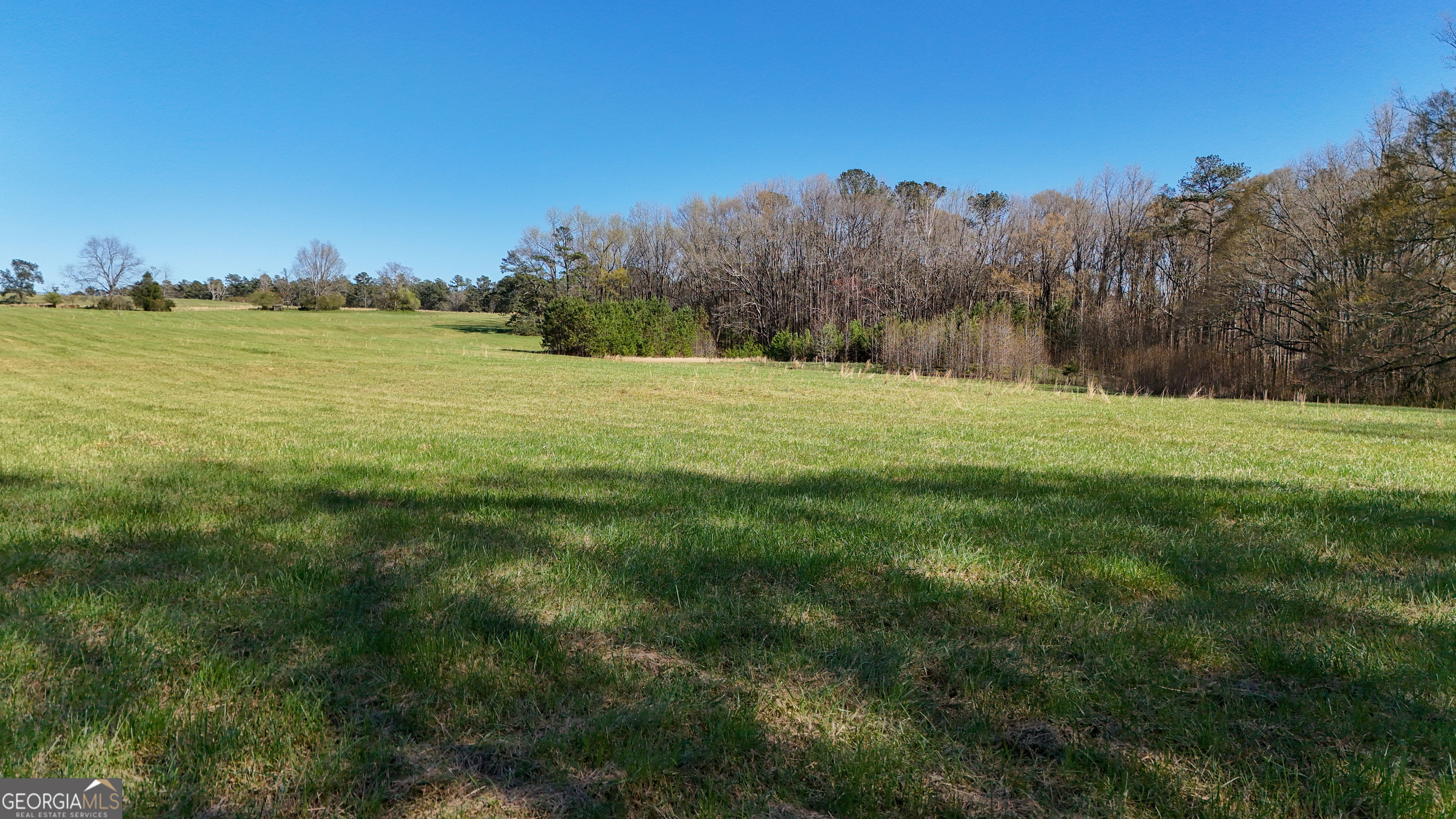 40 Meadow Trail Property Photo 25