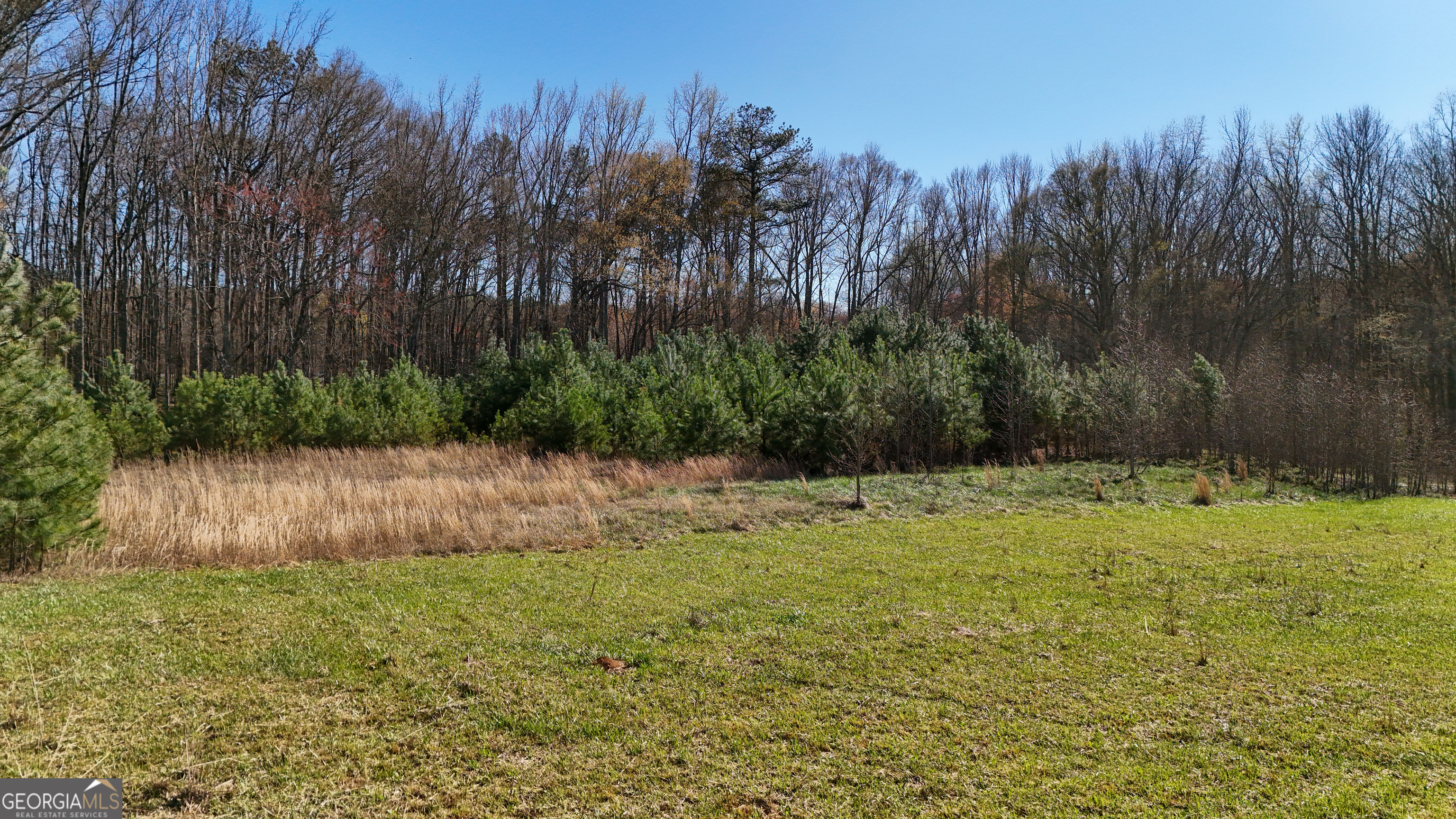 40 Meadow Trail Property Photo 31
