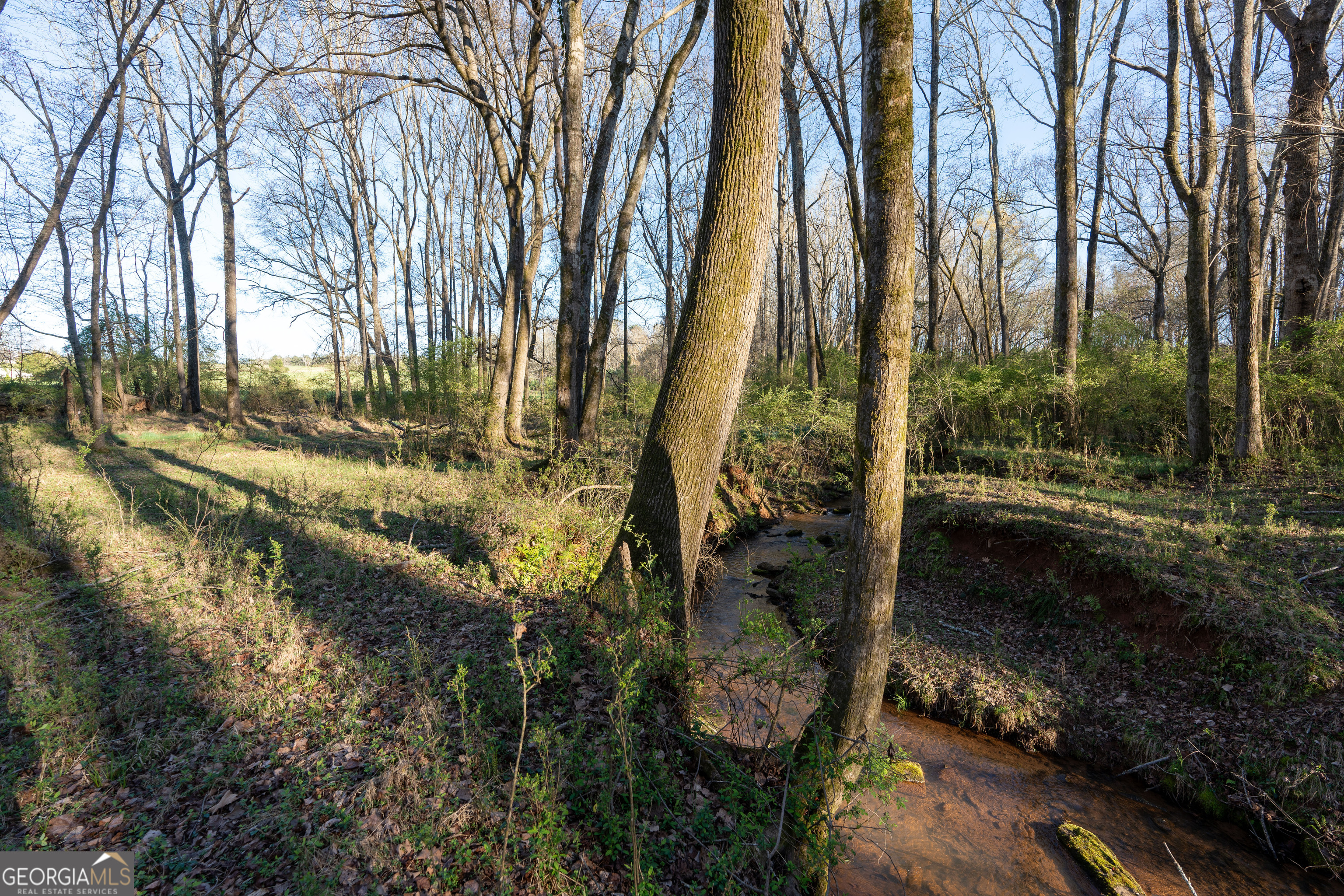 40 Meadow Trail Property Photo 52