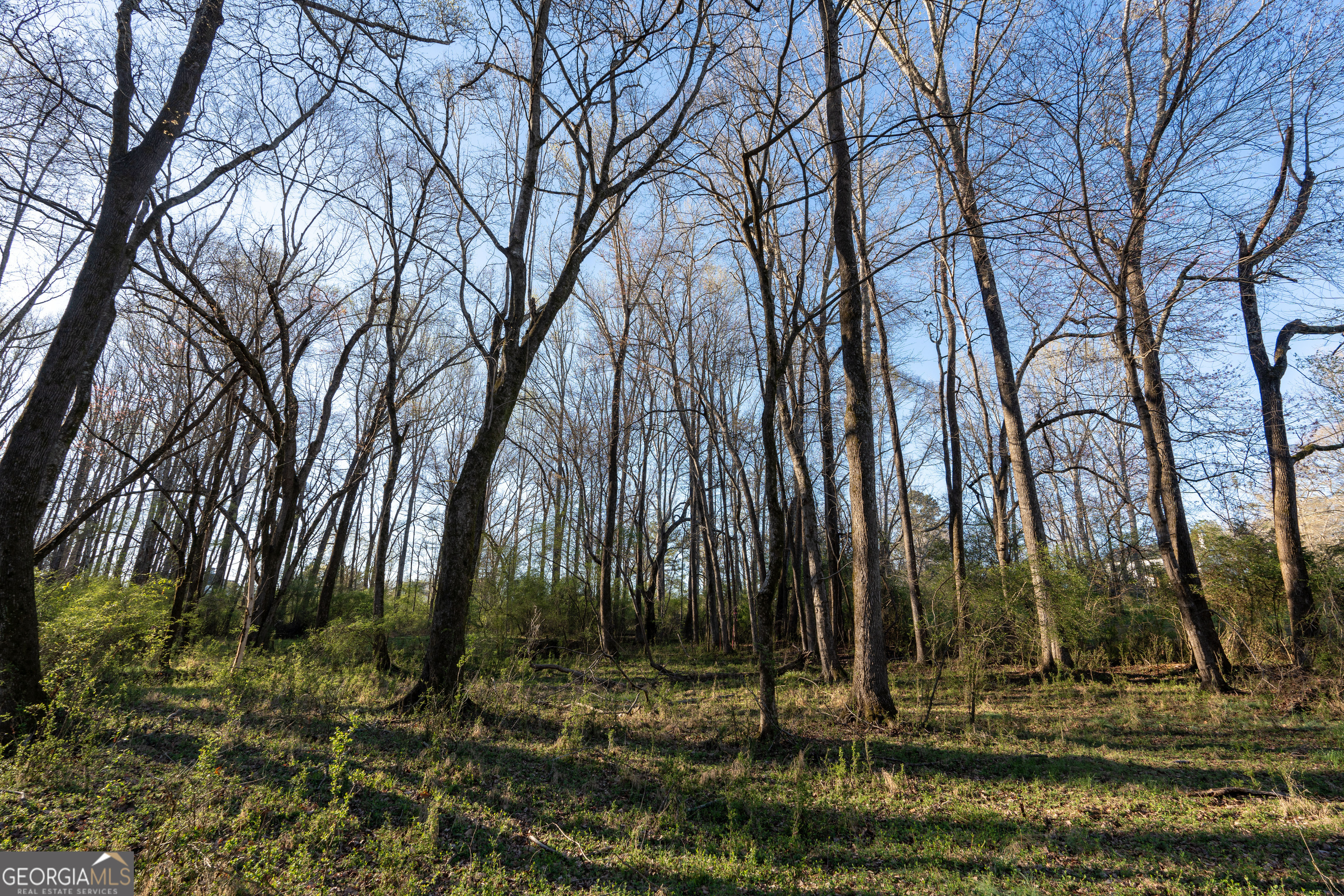 40 Meadow Trail Property Photo 53