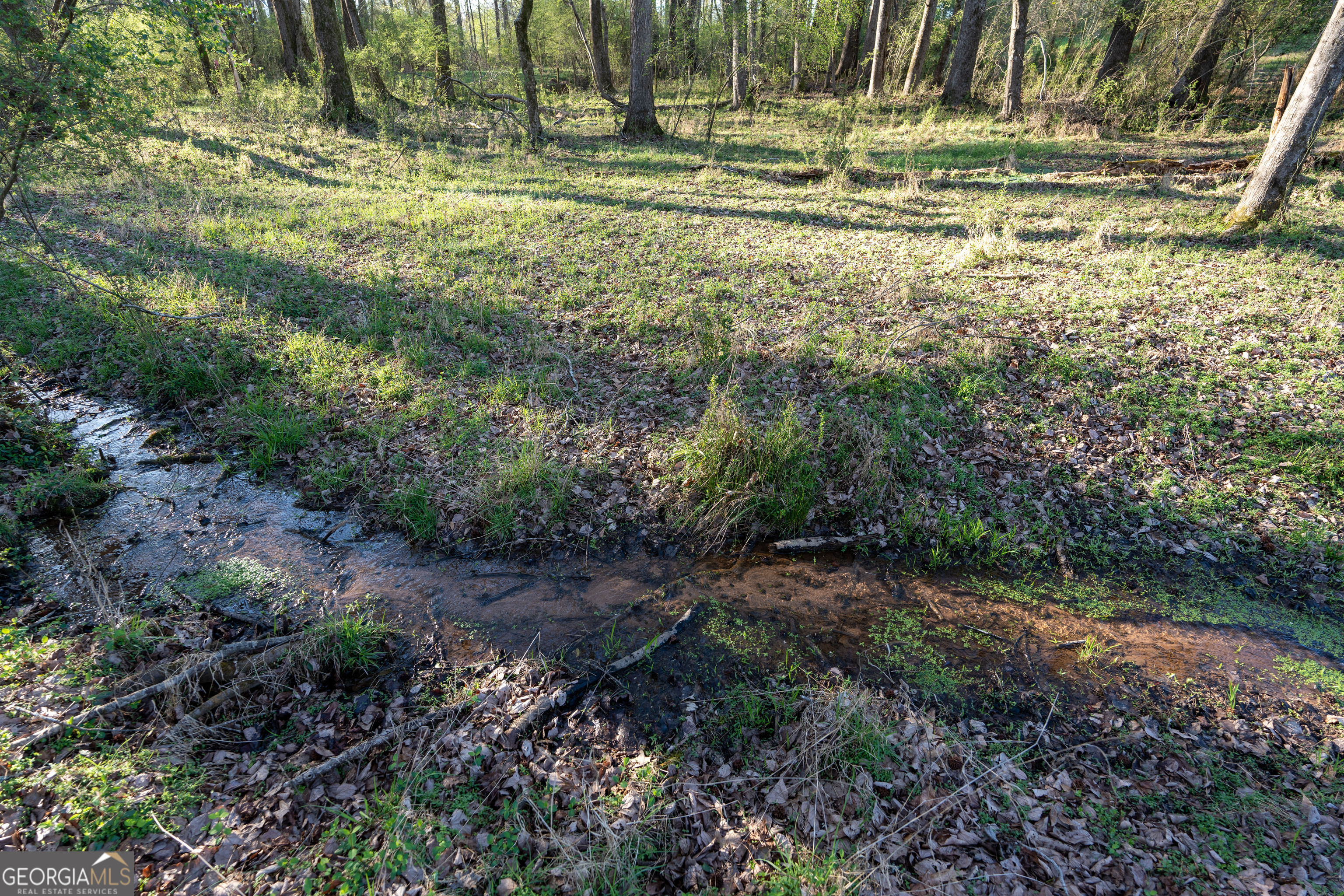 40 Meadow Trail Property Photo 58